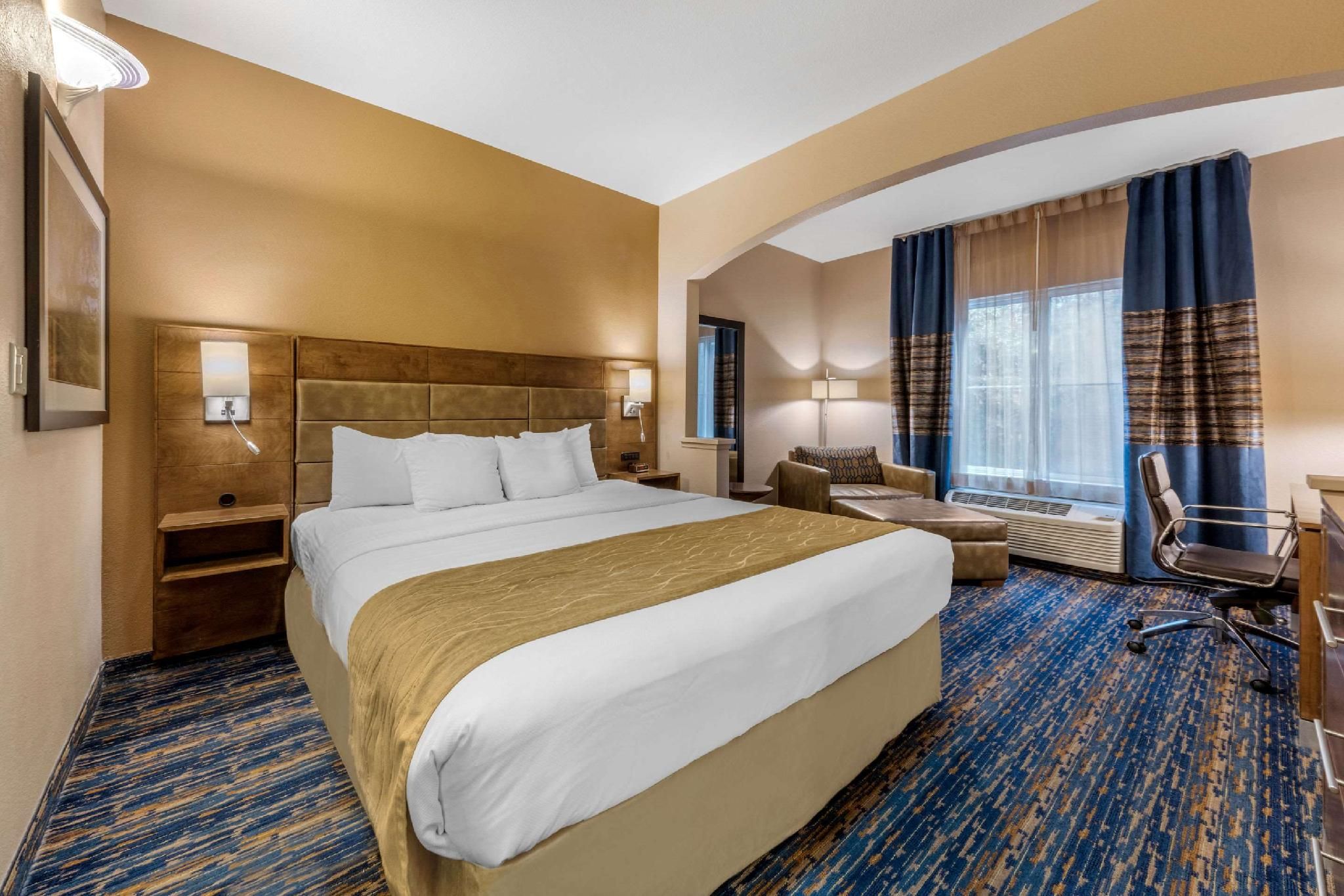1 King Bed, Suite, Nonsmoking