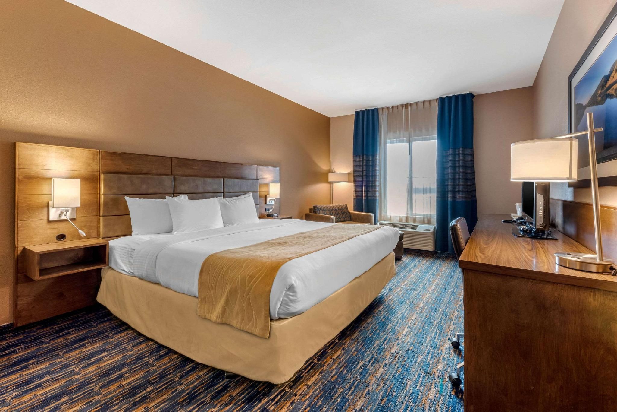 1 King Bed Non-Smoking Accessible