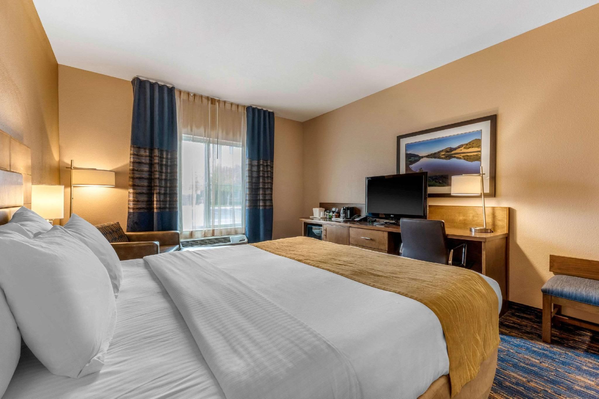 1 King Bed Non-Smoking Accessible