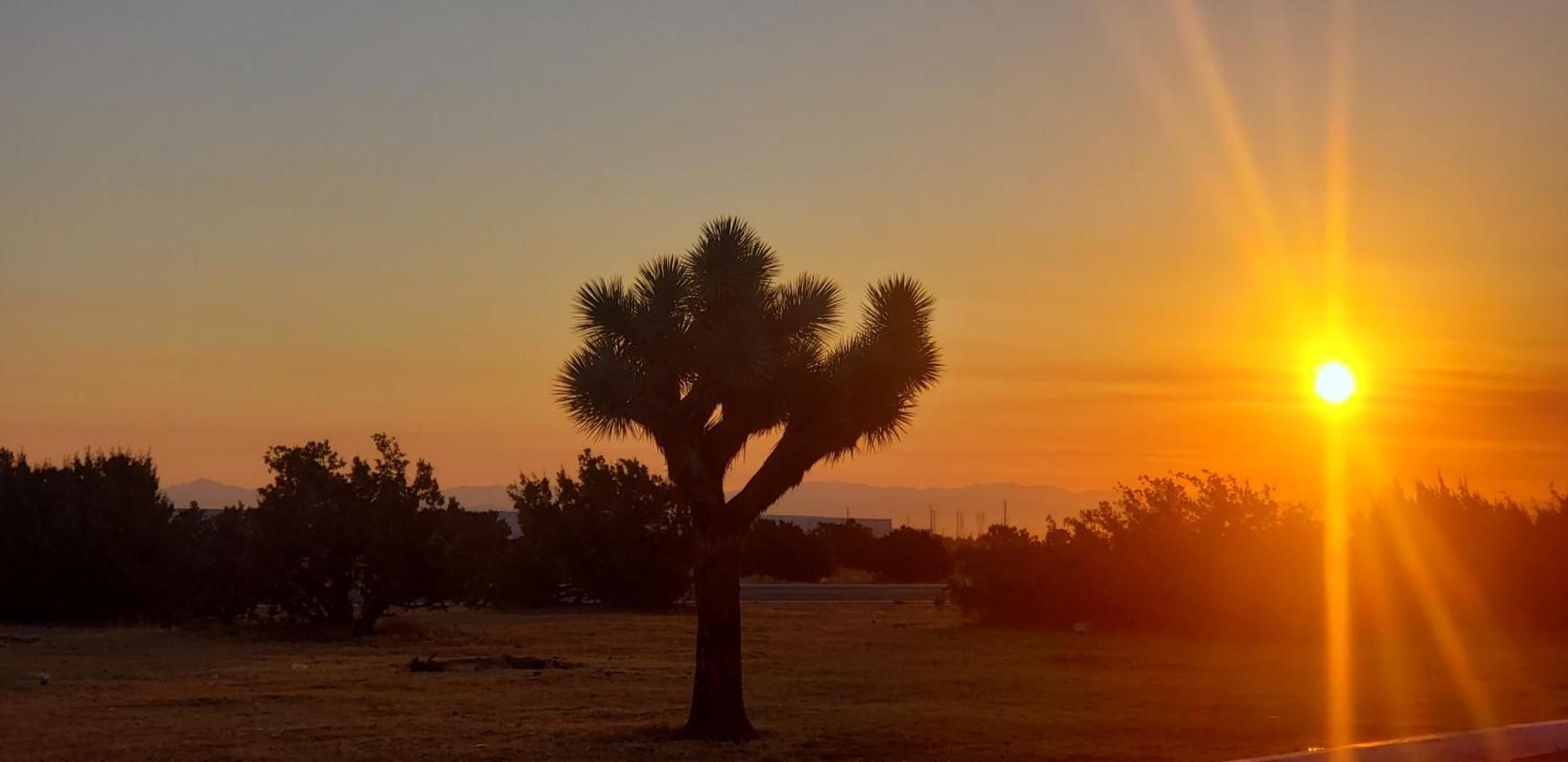 surrounding environment