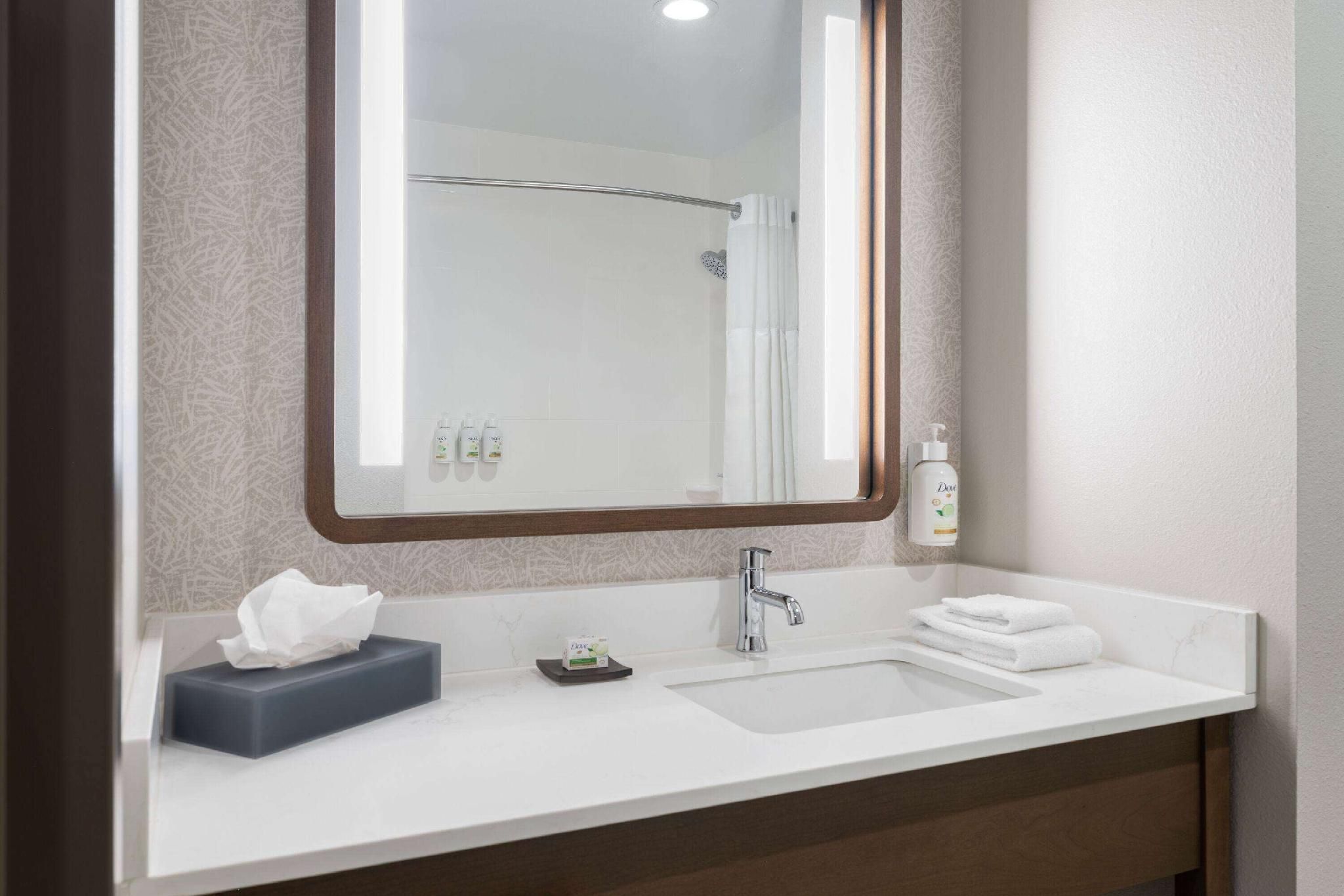 1 King Bed, Standard Room, Shower