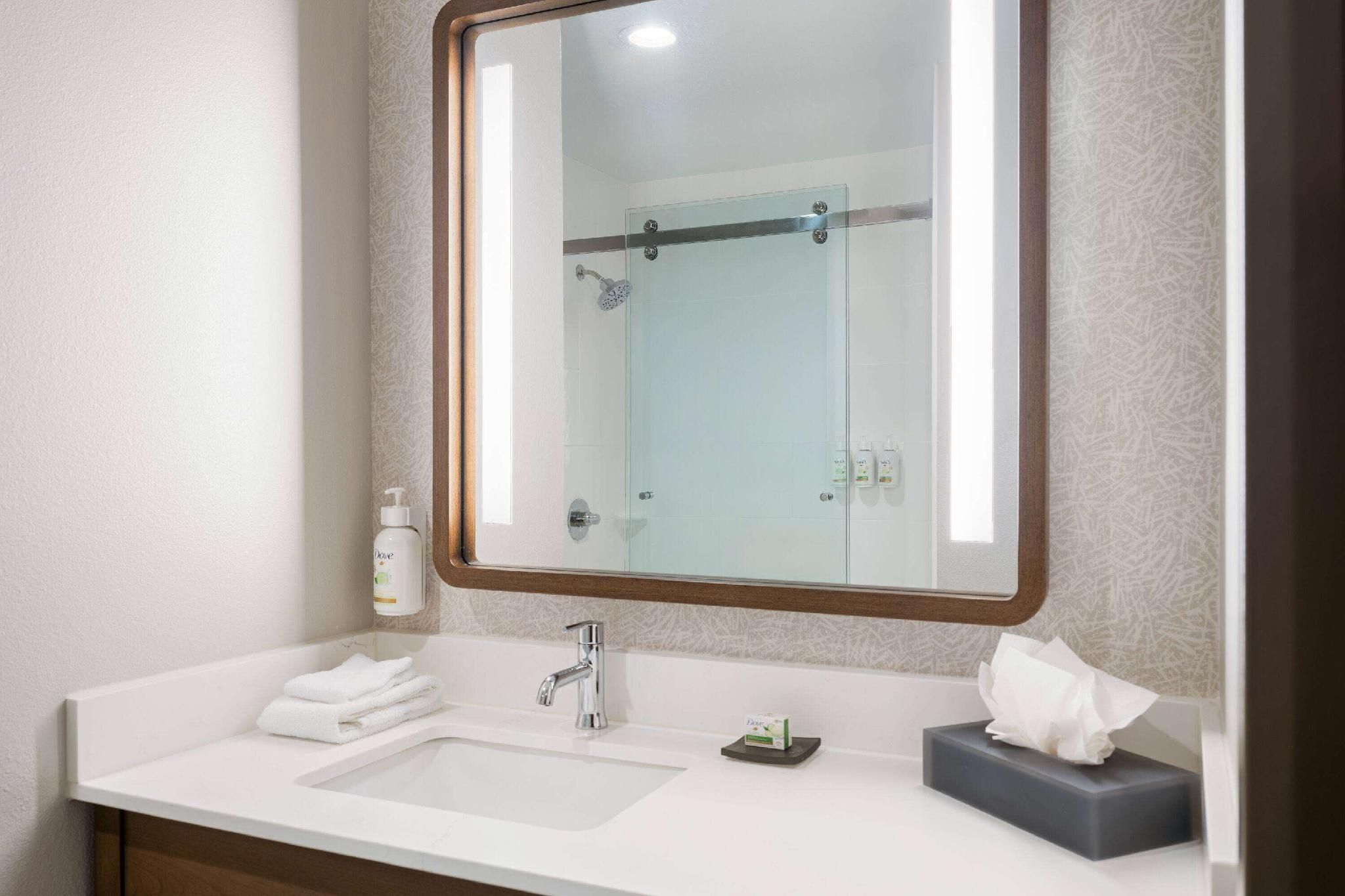 1 King Bed, Extended Room, Shower
