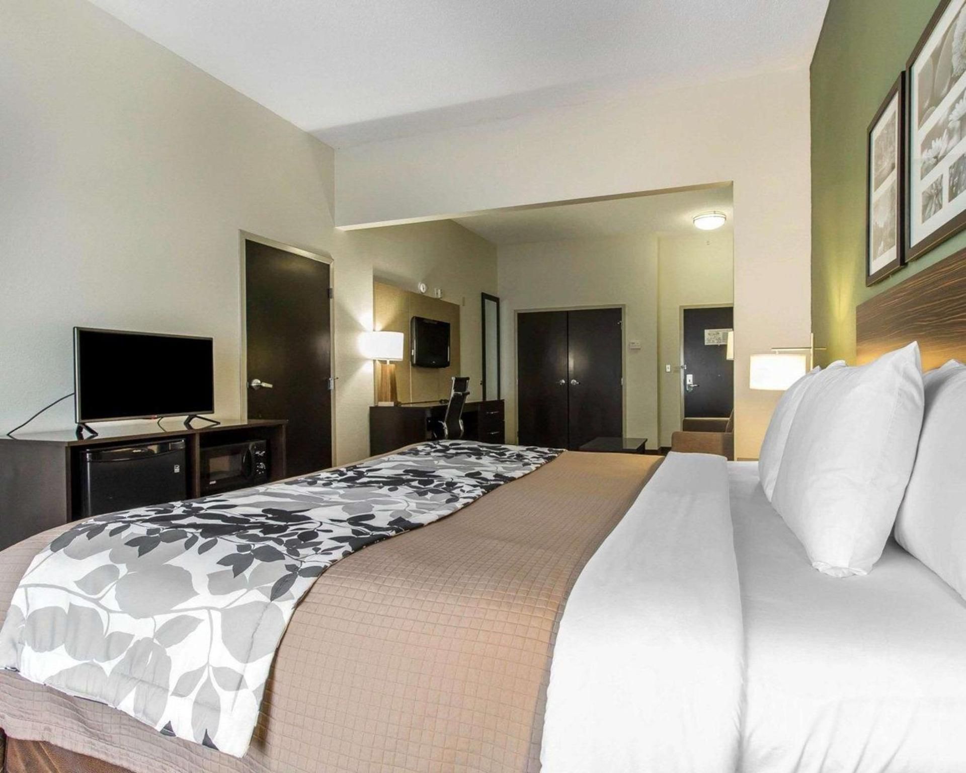 1 King Bed, Suite, Nonsmoking