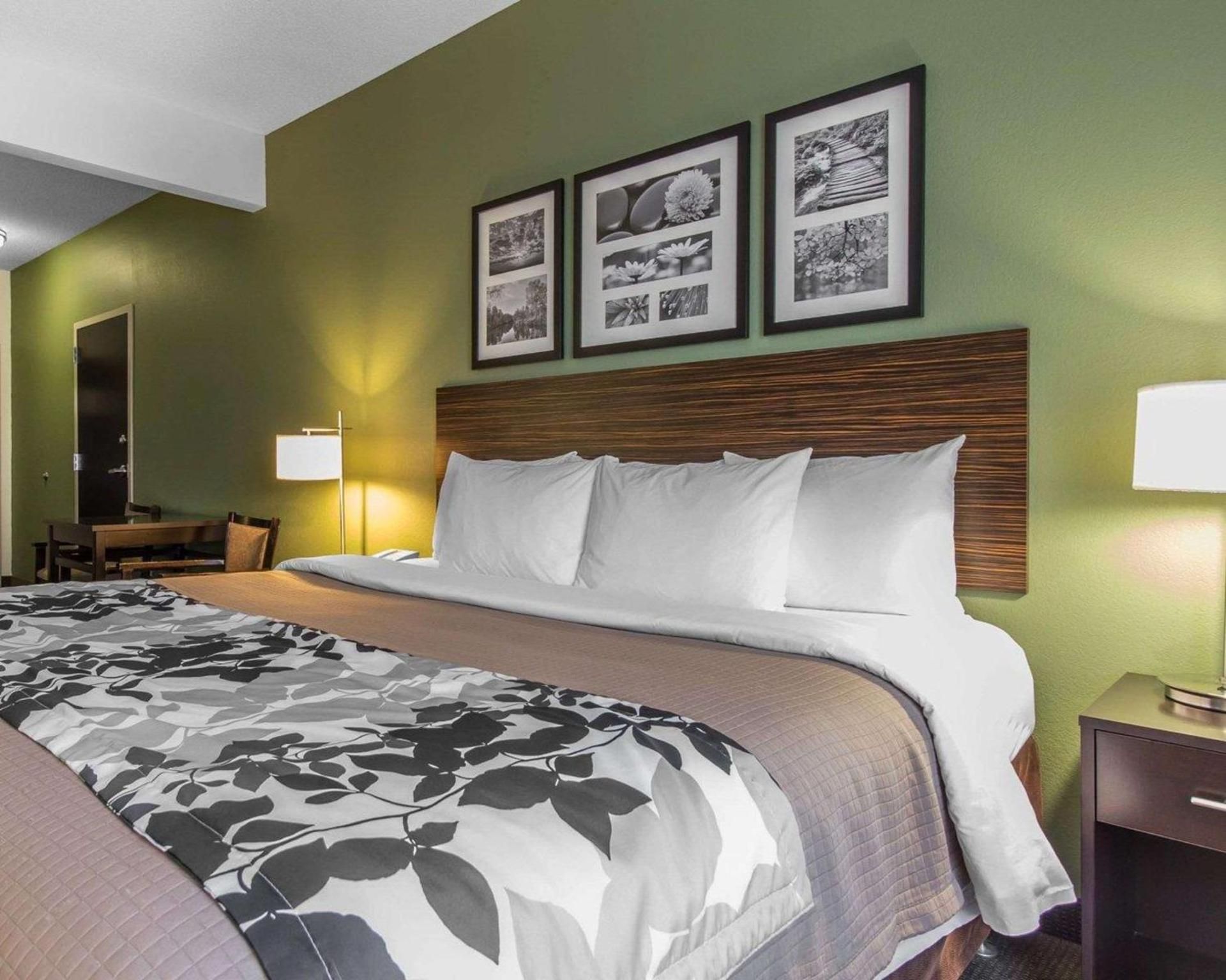 1 King Bed, Nonsmoking, Accessible