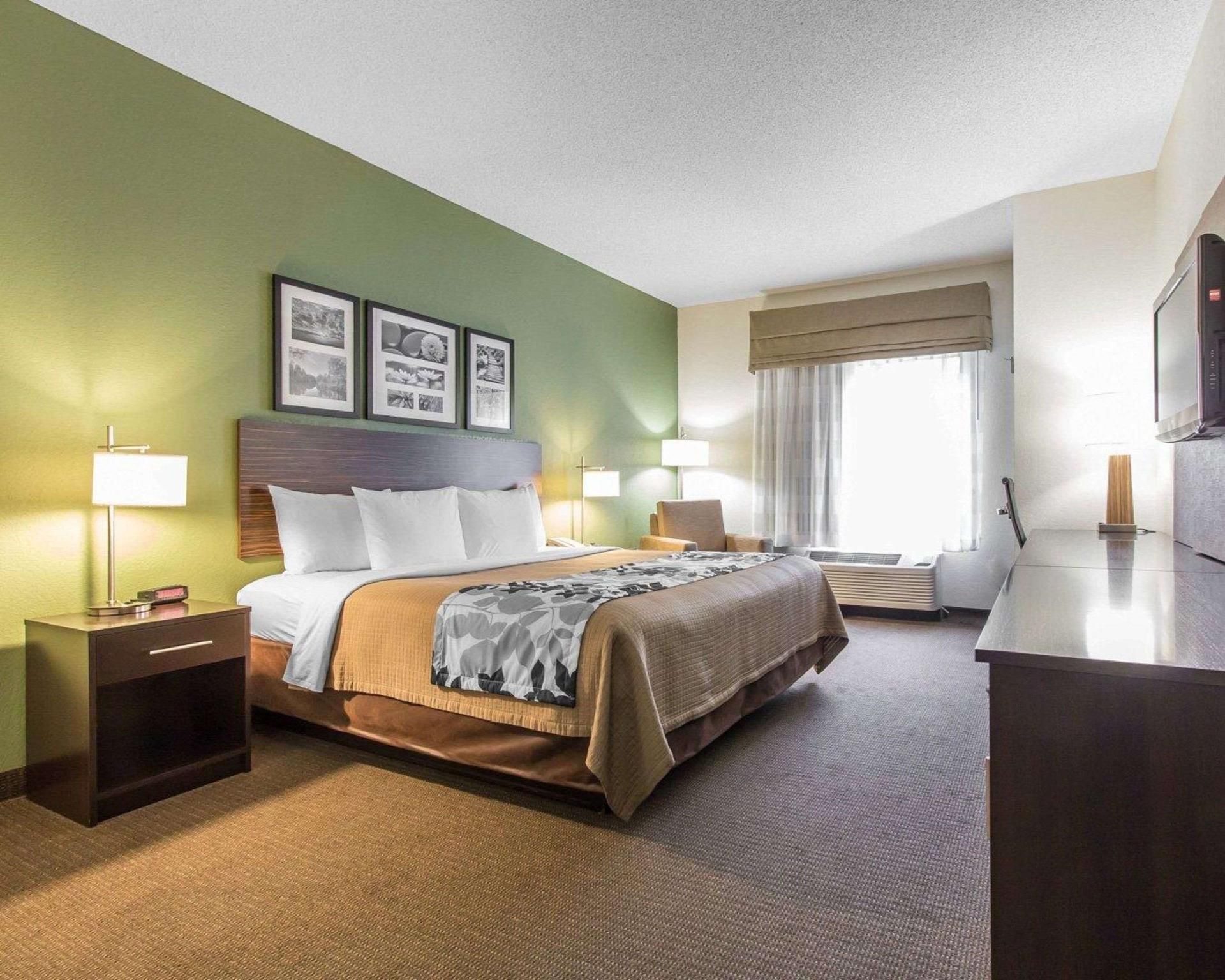 1 King Bed, Nonsmoking