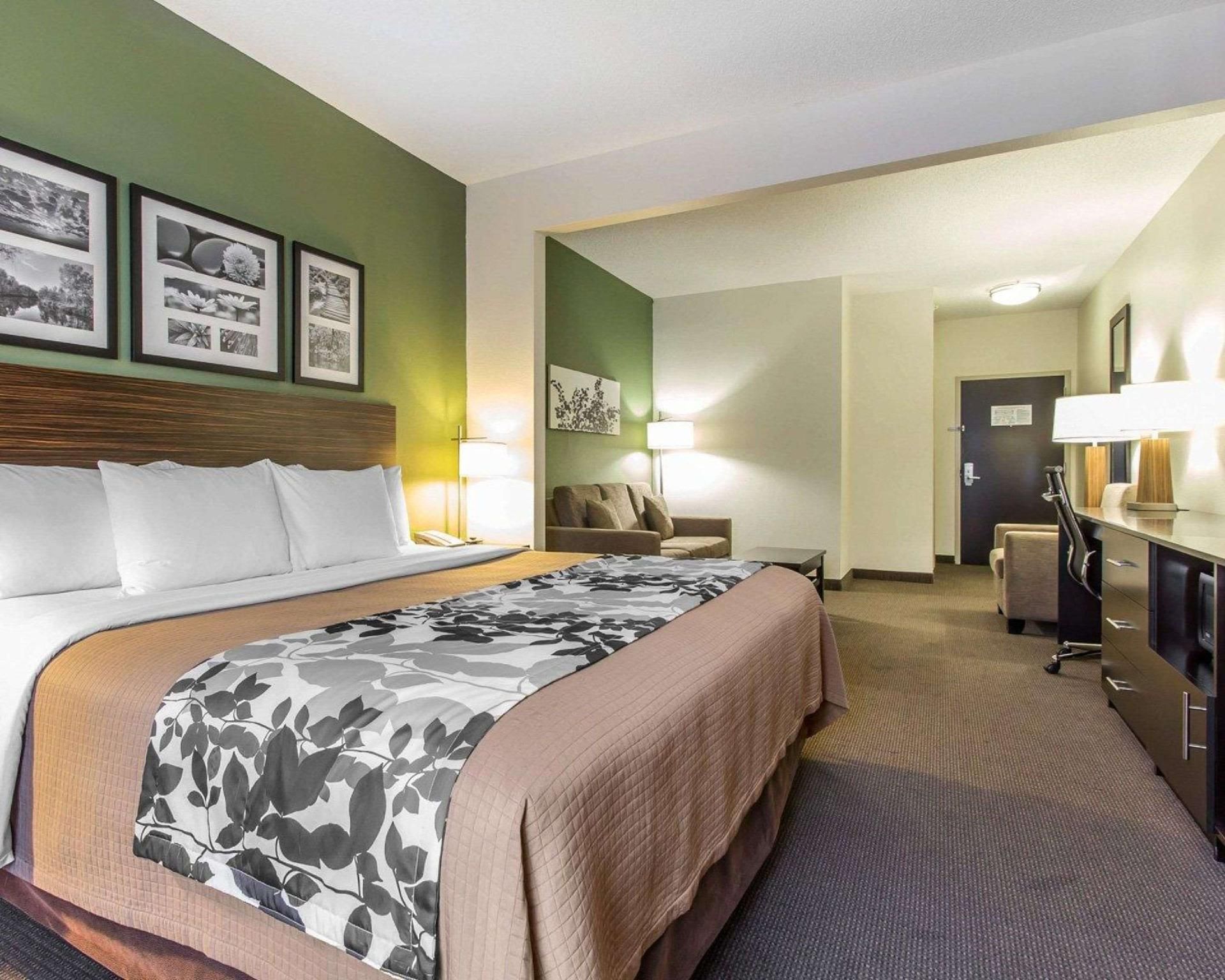 1 King Bed, Suite, Nonsmoking, Accessible