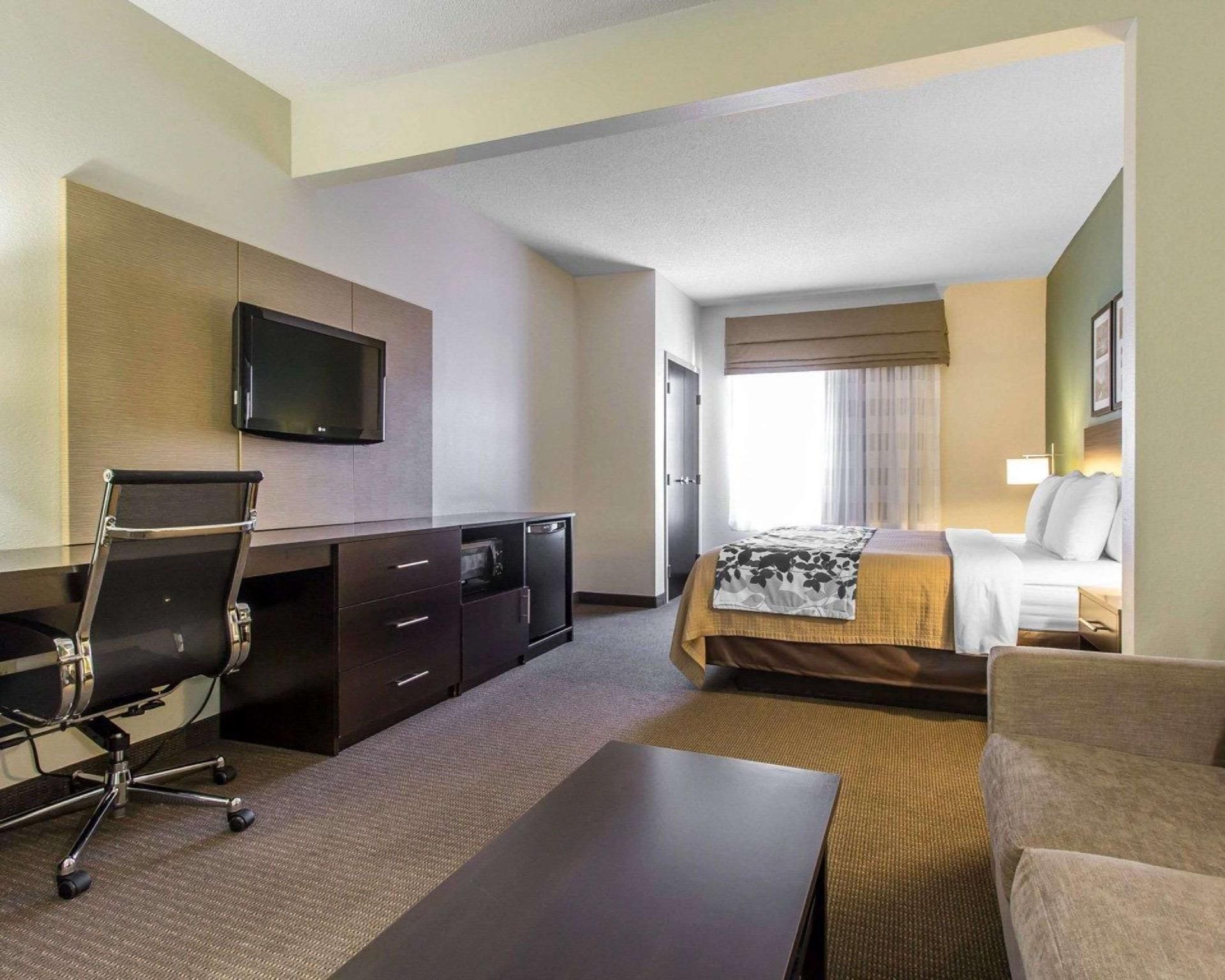 1 King Bed, Suite, Nonsmoking, Accessible