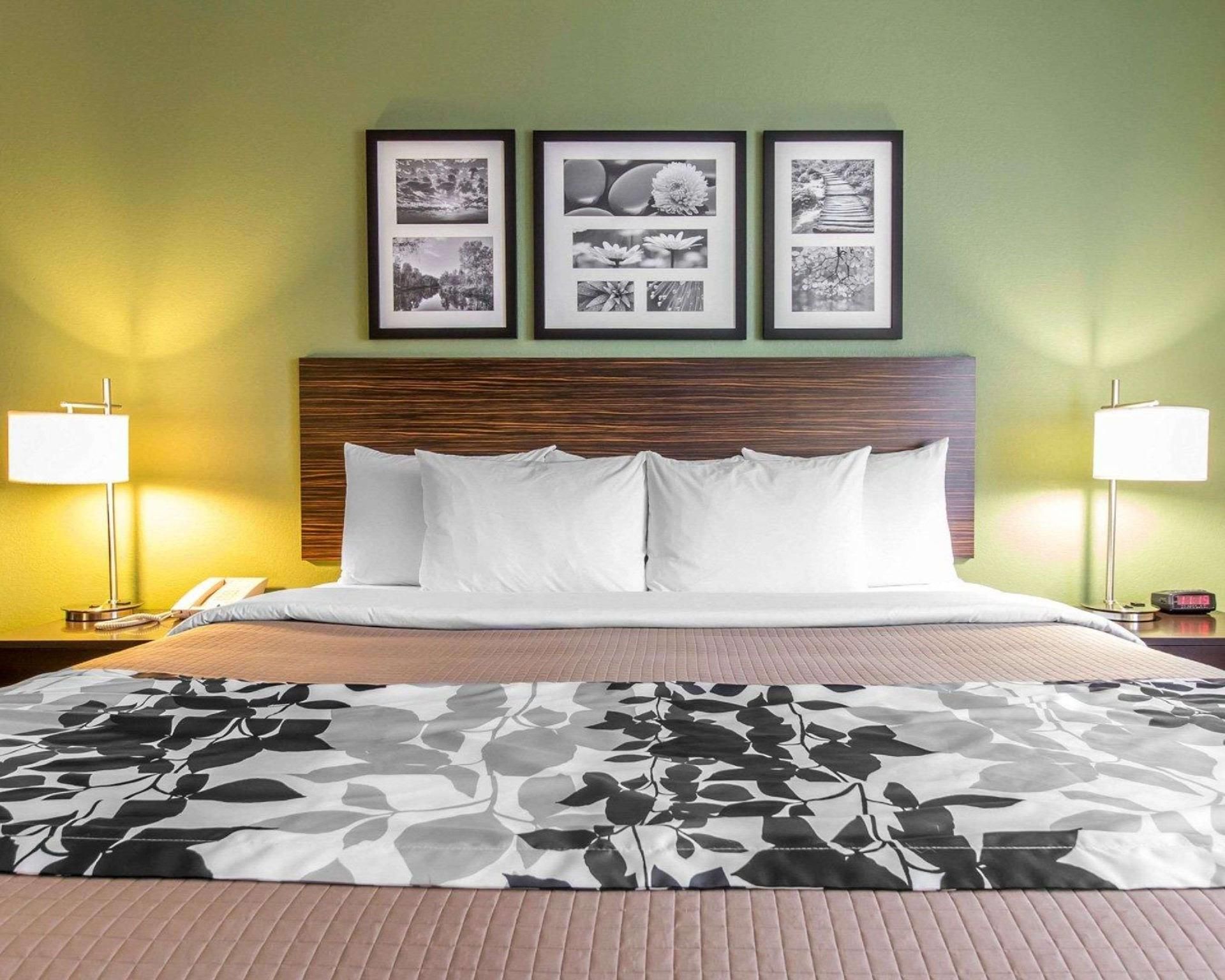 1 King Bed, Nonsmoking, Accessible