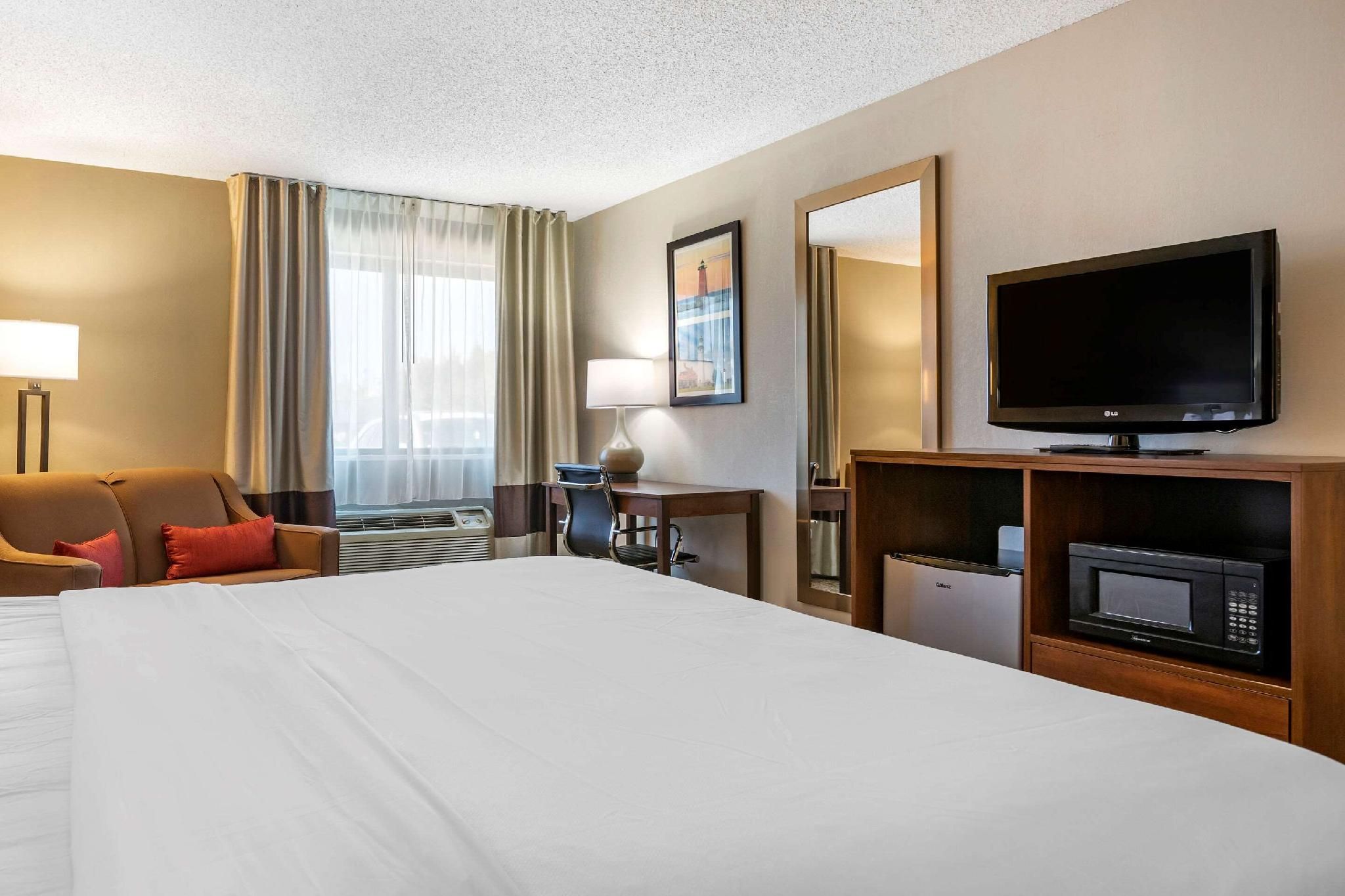 1 King Bed, Nonsmoking, Accessible