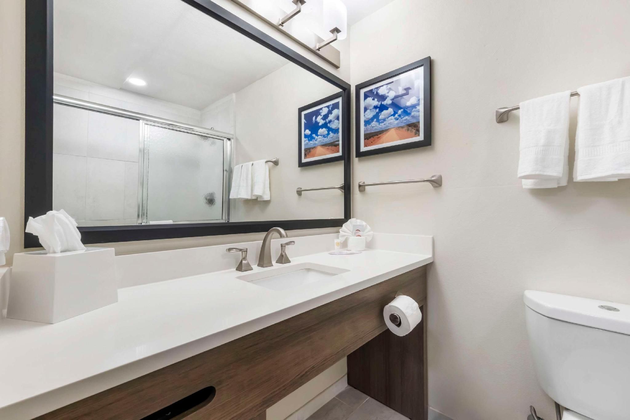 Comfort Inn 1 King Bed, Nonsmoking 3