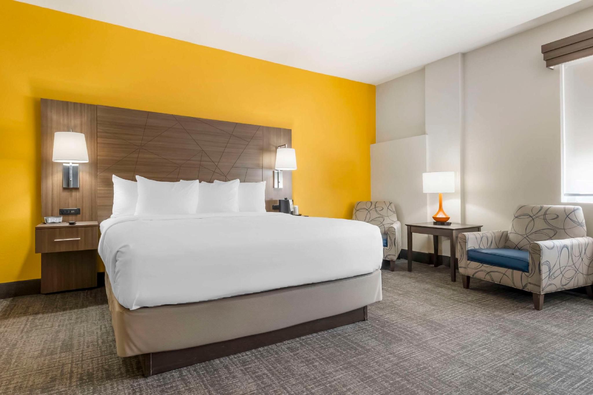 1 King Bed, Nonsmoking, Accessible