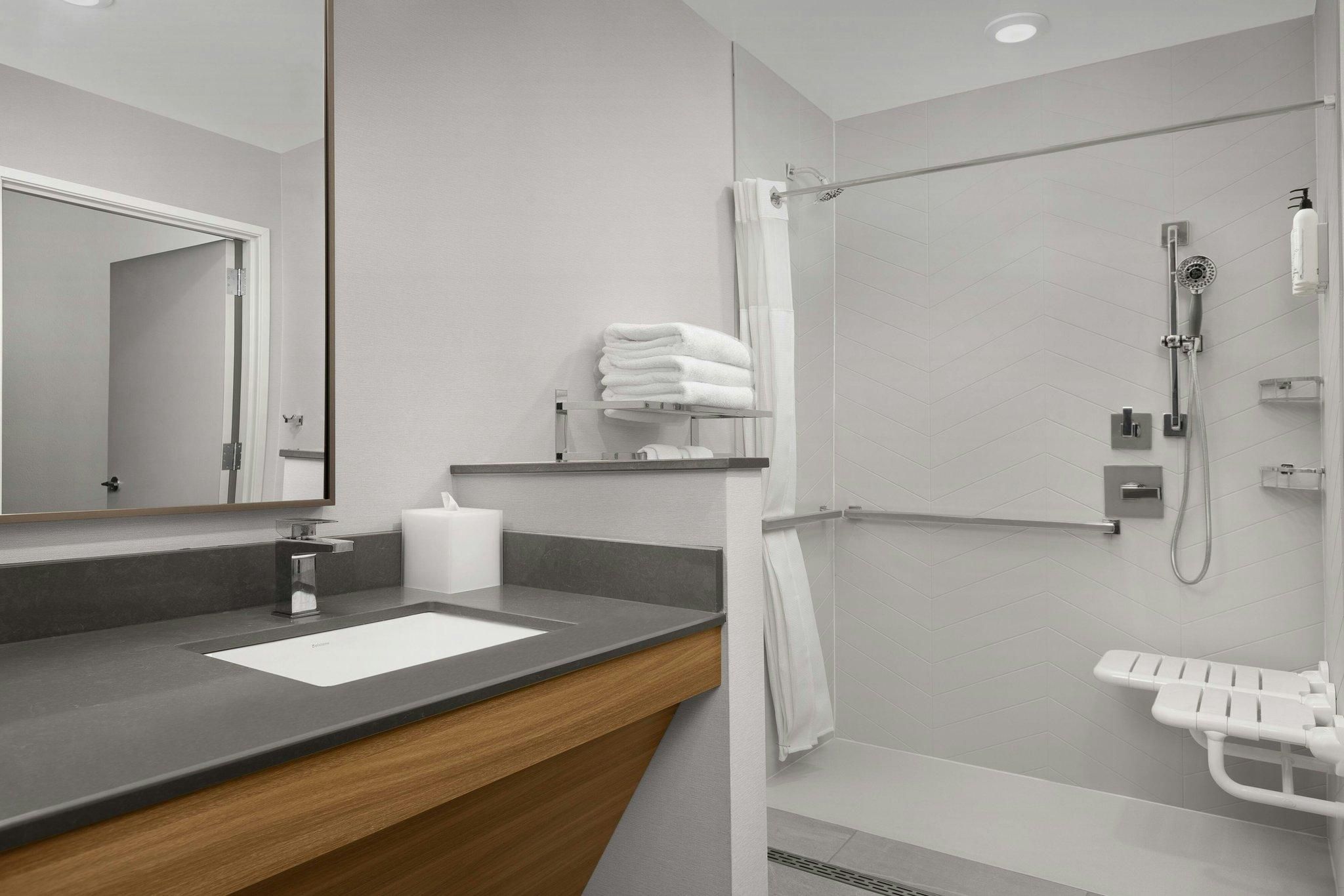Suite, 1 King, Sofa bed