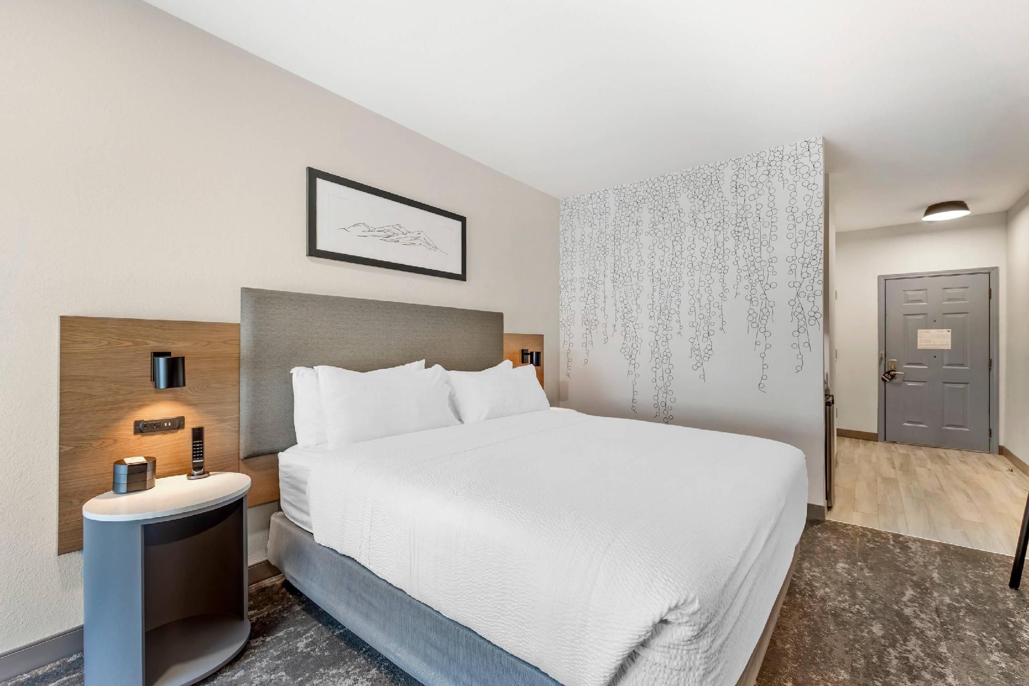 1 King Bed, Suite, Nonsmoking