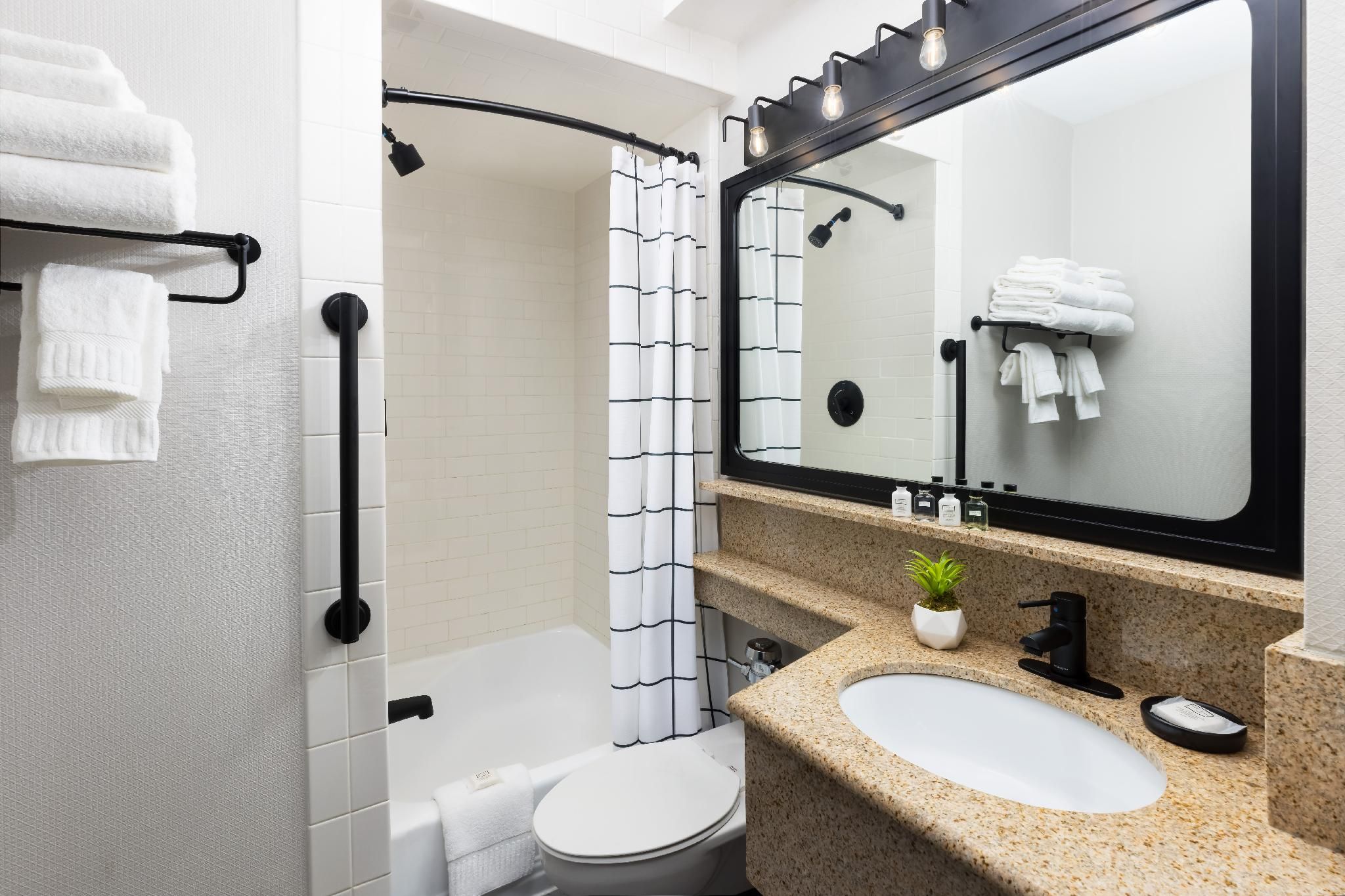 Arcadian Hotel Brookline King Interior 2