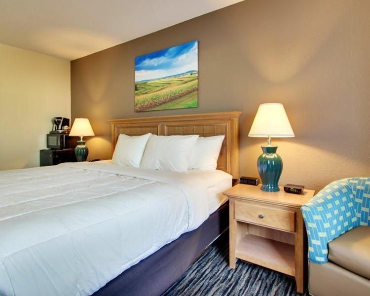 Single Room - Disability Access