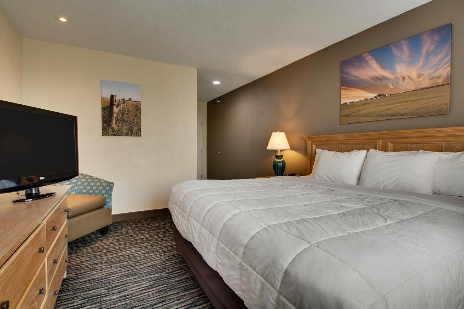 Large Single Room