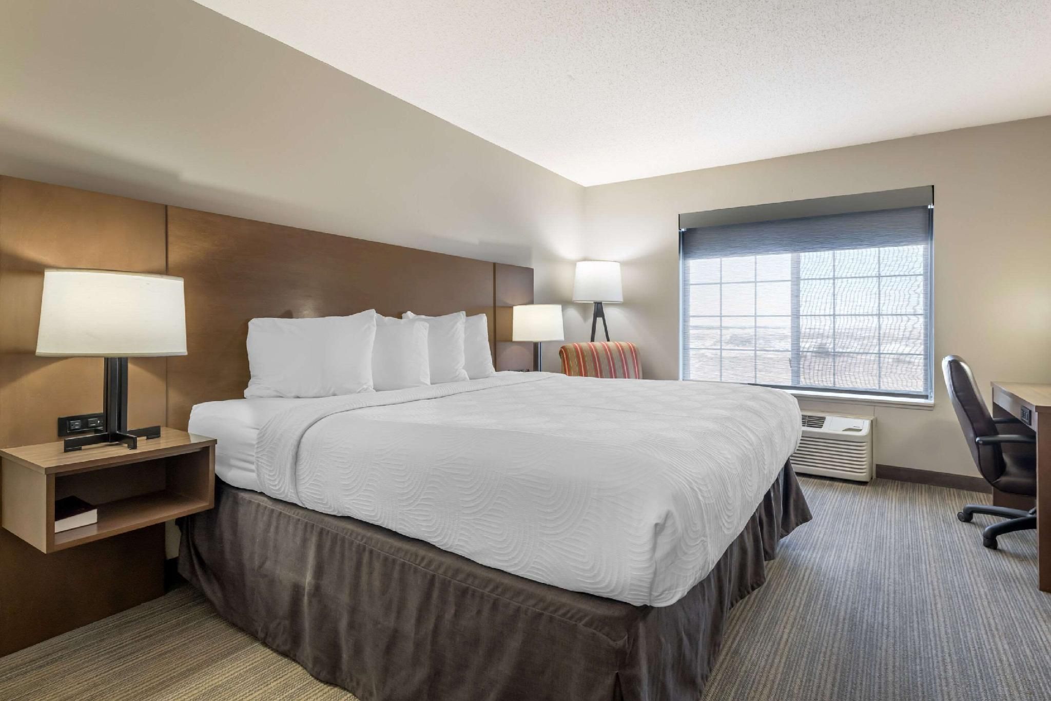 1 King Bed, Nonsmoking