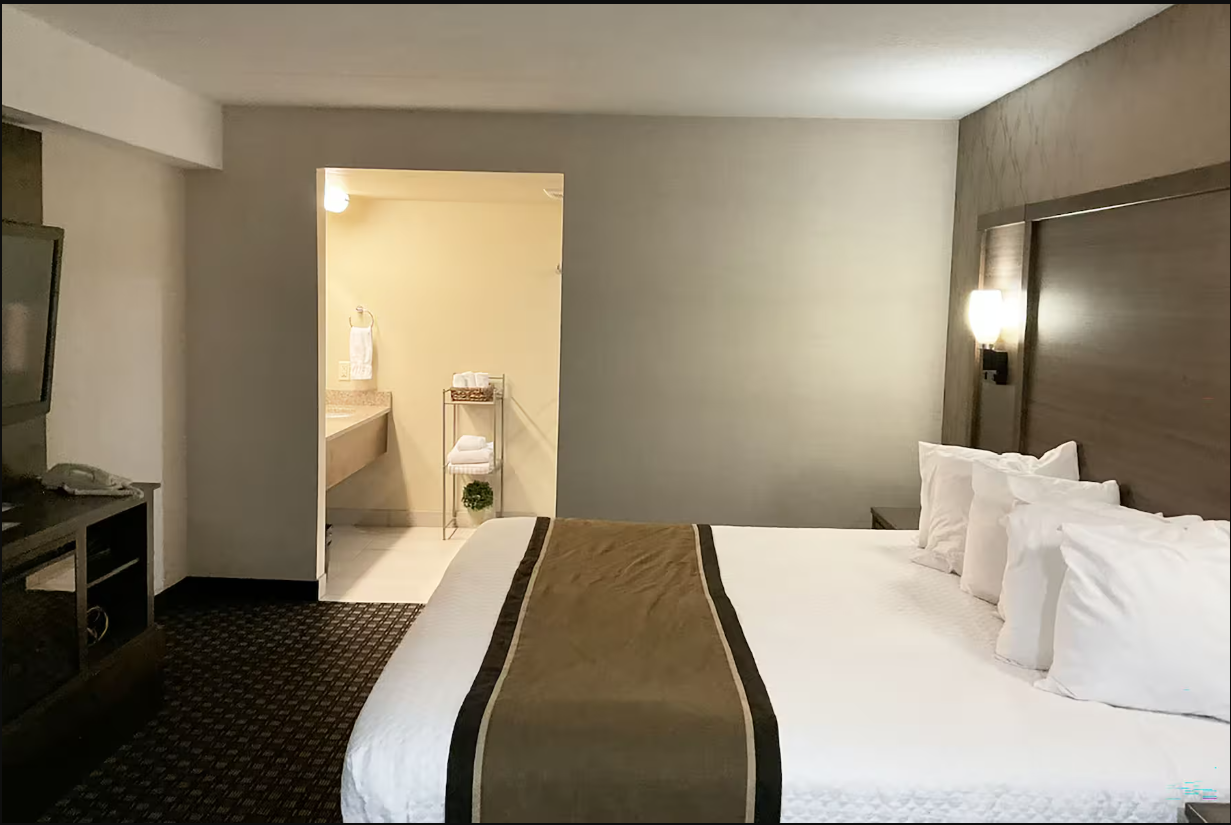 1 King Bed, Deluxe Room, Non-Smoking