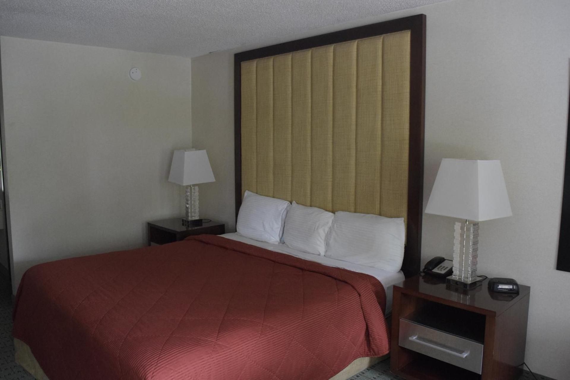 King Room - Pet-Friendly