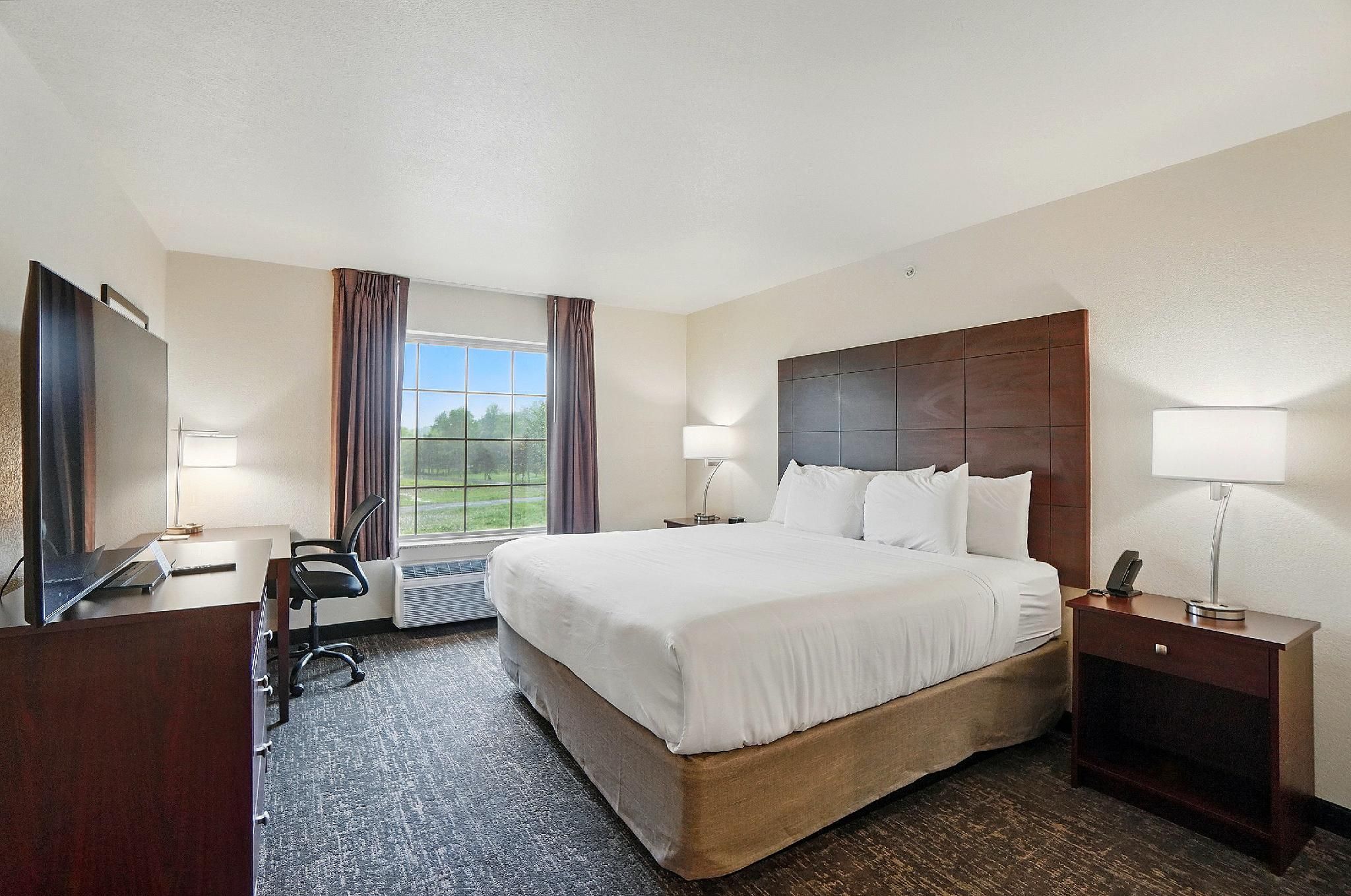 Single King Guestroom Non-Smoking with Audible-Visual Alert