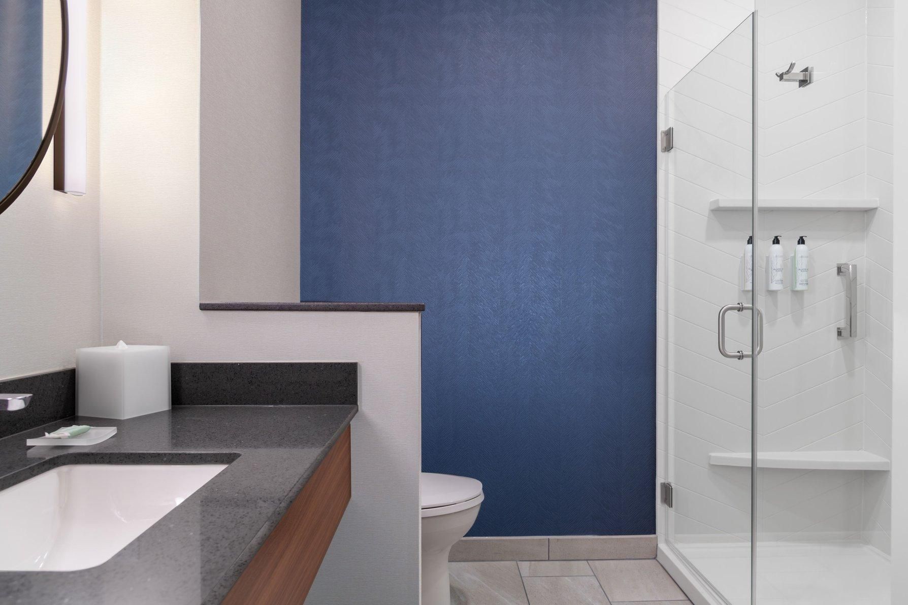 Extended, Suite, 2 Queen, Sofa Bed