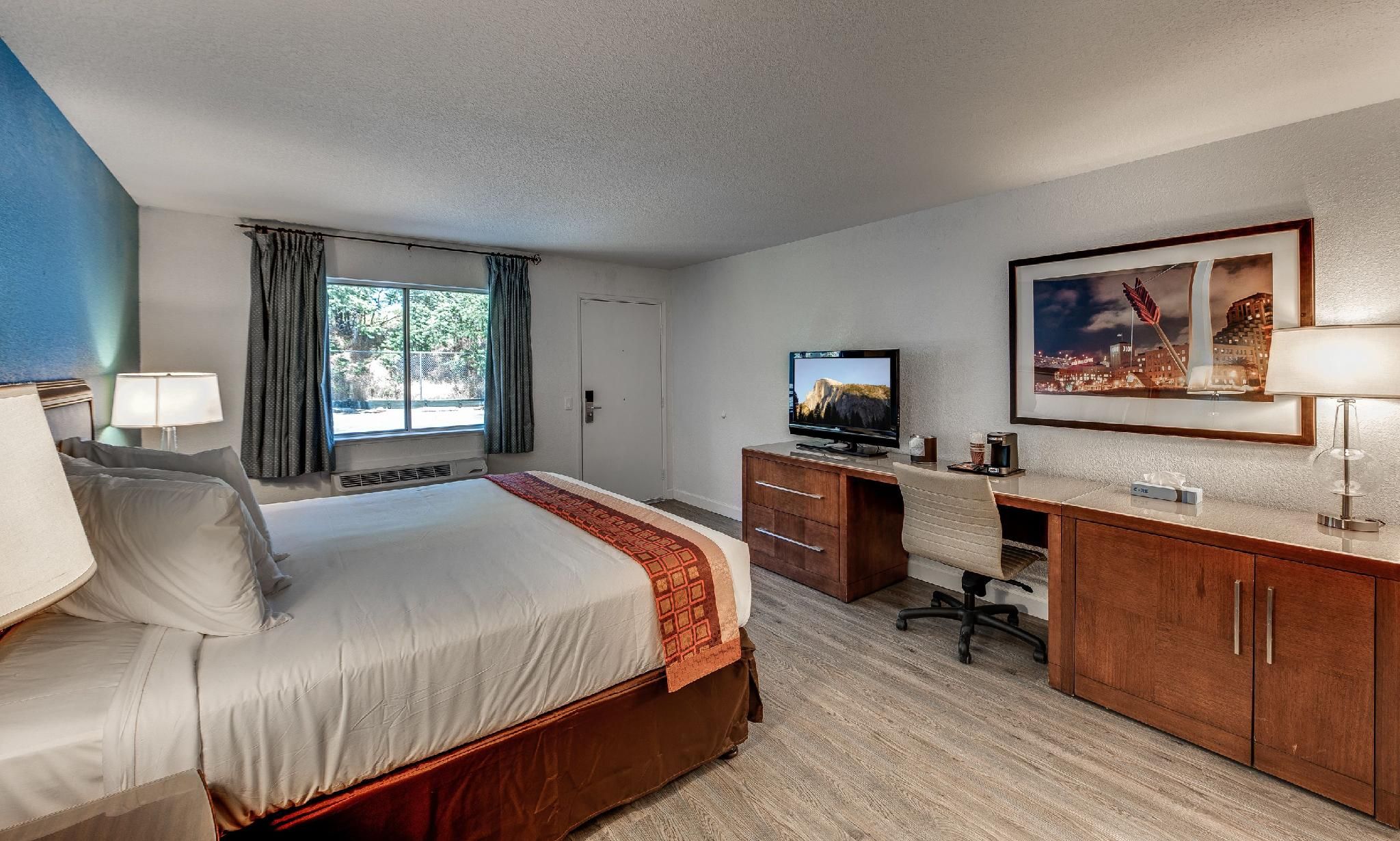 Single Room - Disability Access