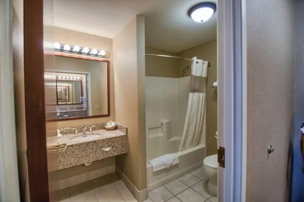 Deluxe King Suite
