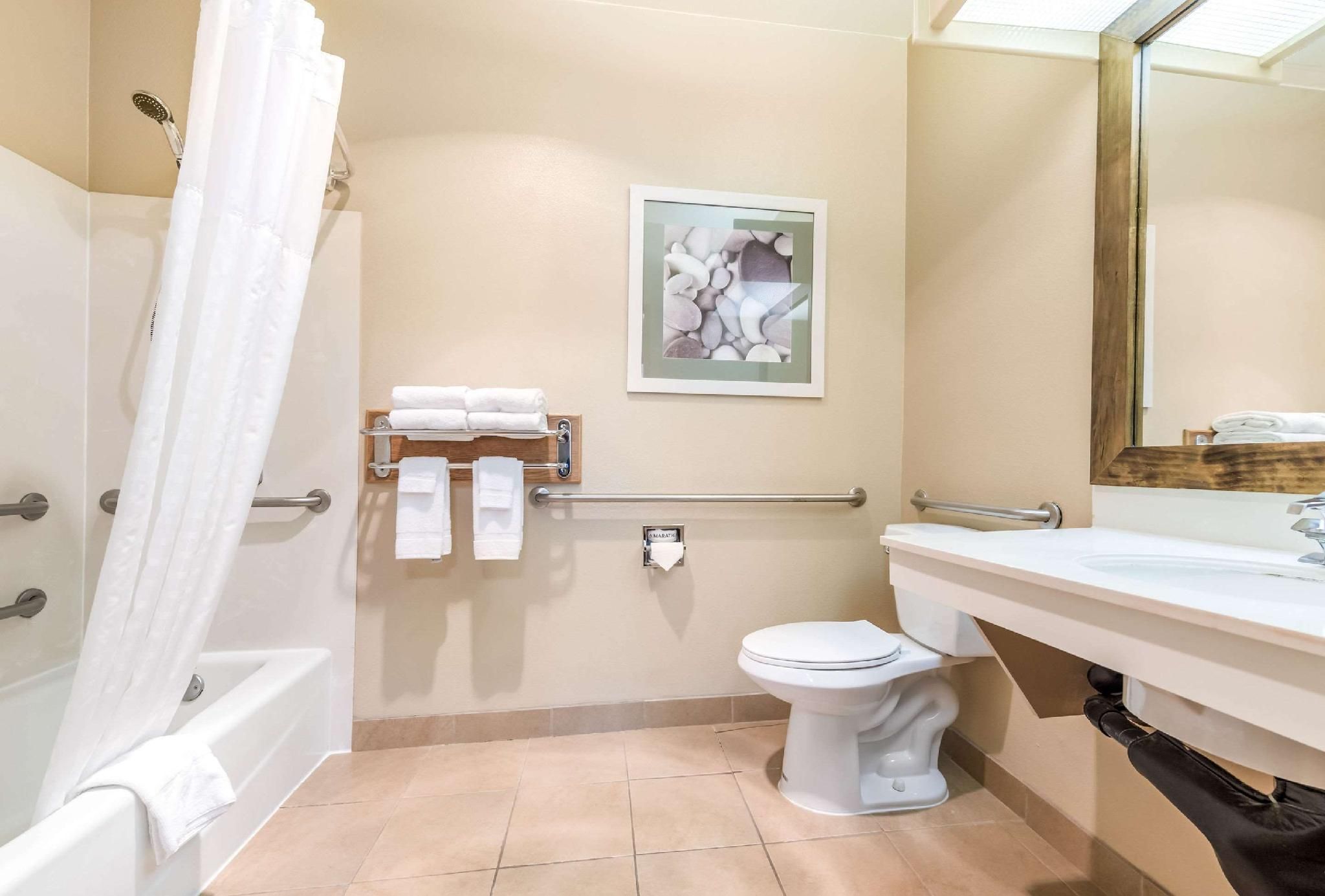 1 Queen Bed, Efficiency, Suite, Nonsmoking, Accessible