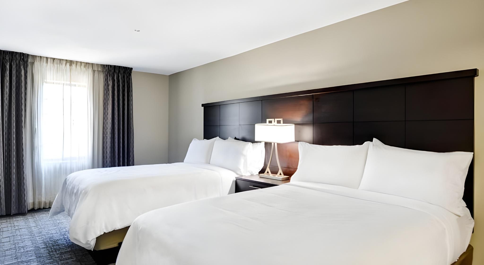 1 Queen 2 Double Bed Suite Sofa Bed