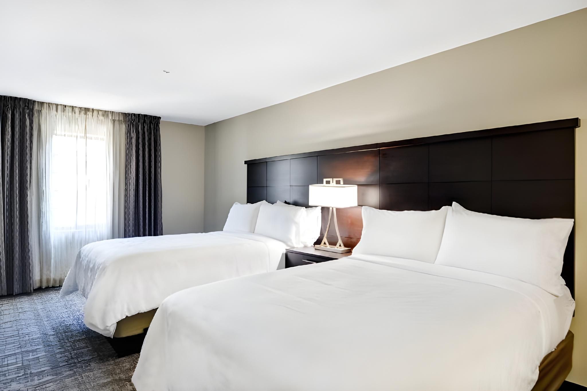1 Queen Bed 2 Double Bed Suite Sofa Bed