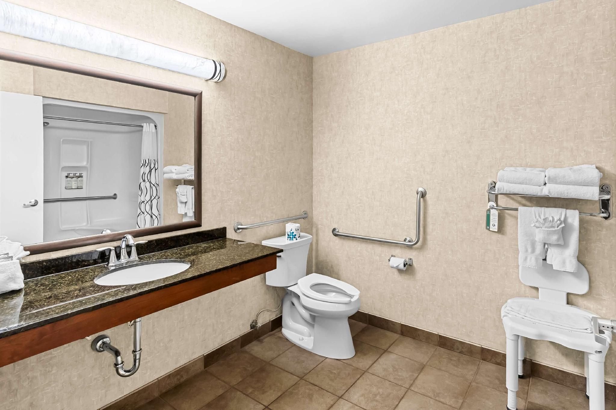 Accessibility - 1 Queen, Walk-in Shower, Sofabed, Nonsmoking