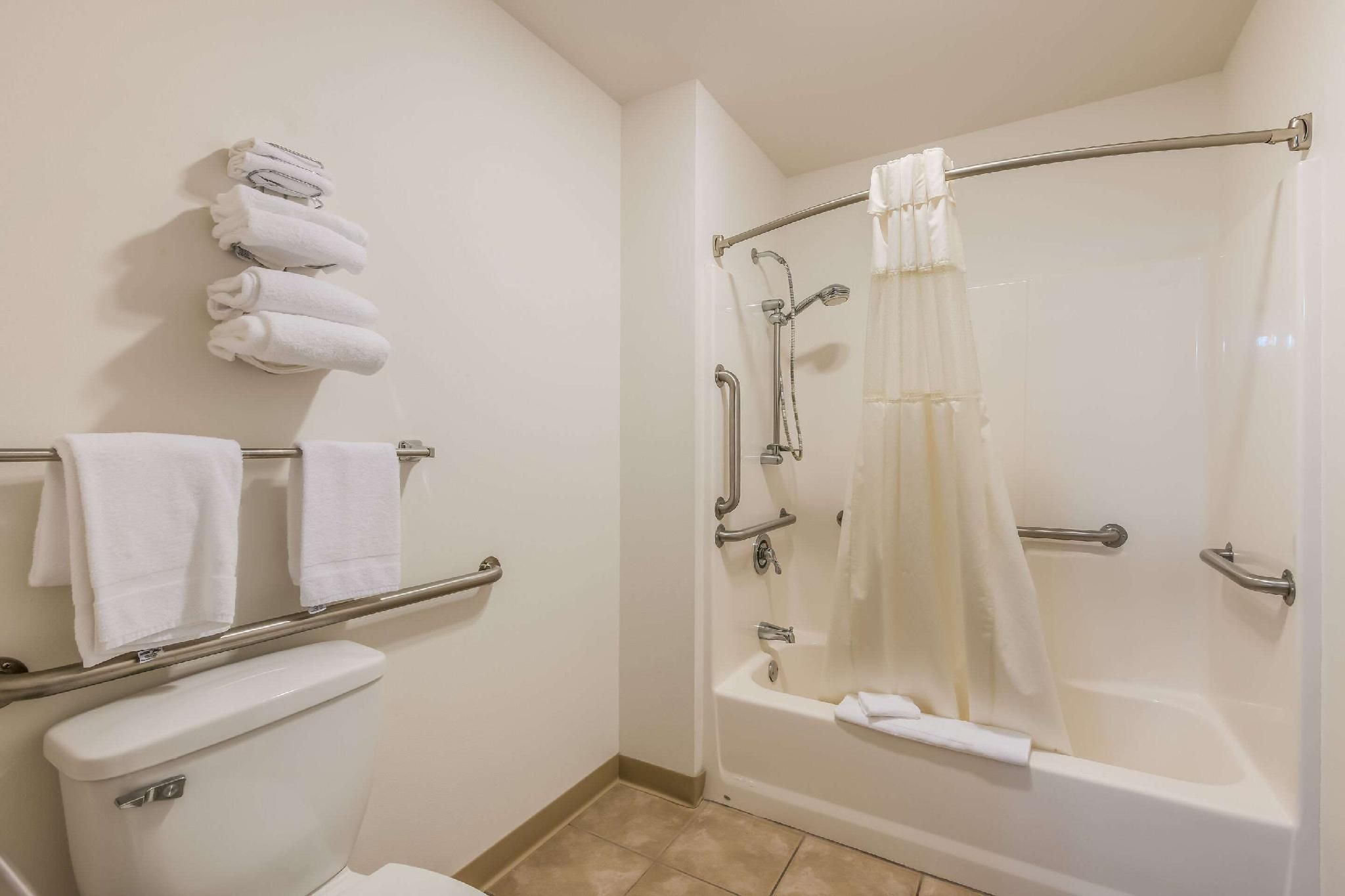 1 King Bed, Suite, Nonsmoking, Accessible