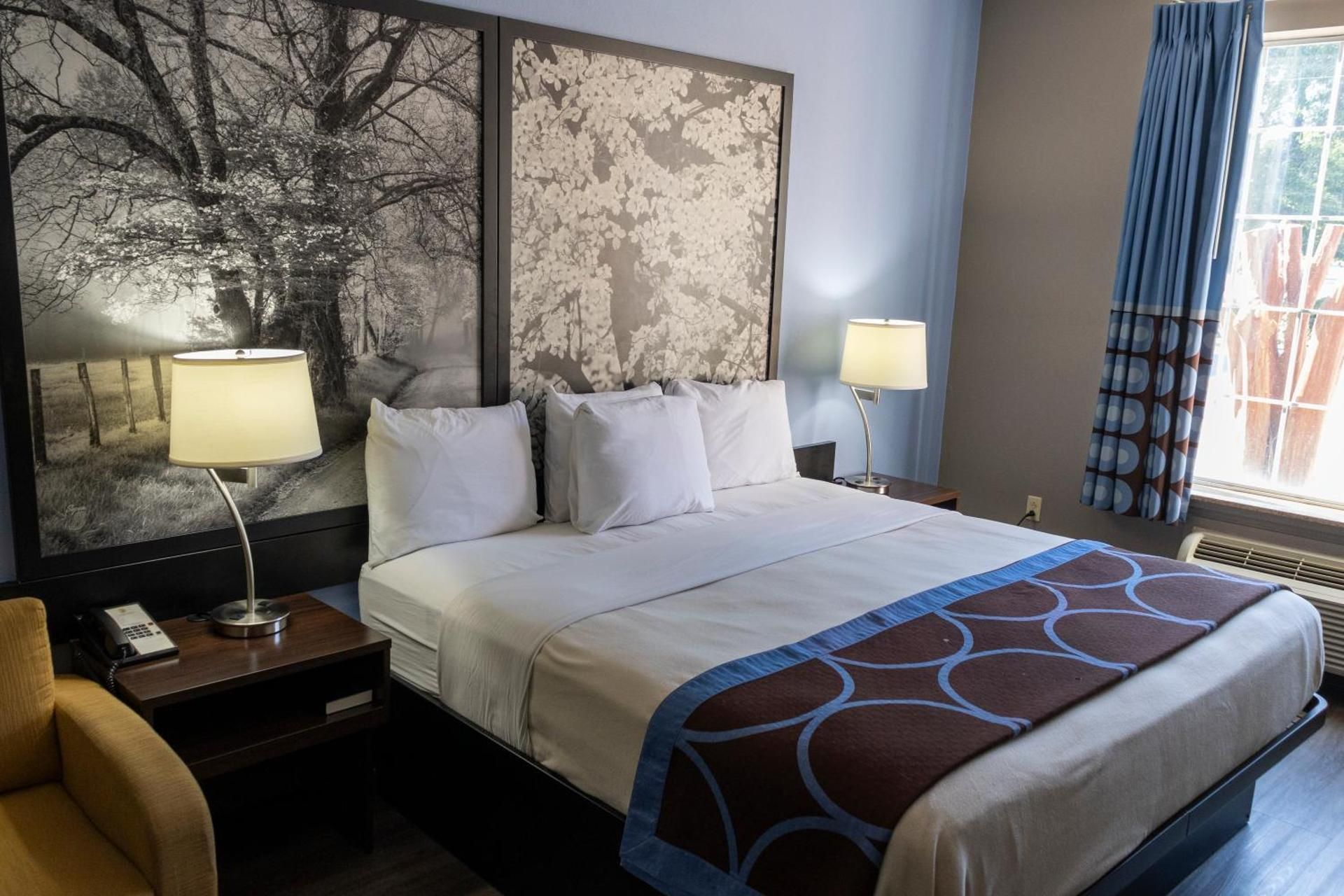 1 King Bed Non-Smoking