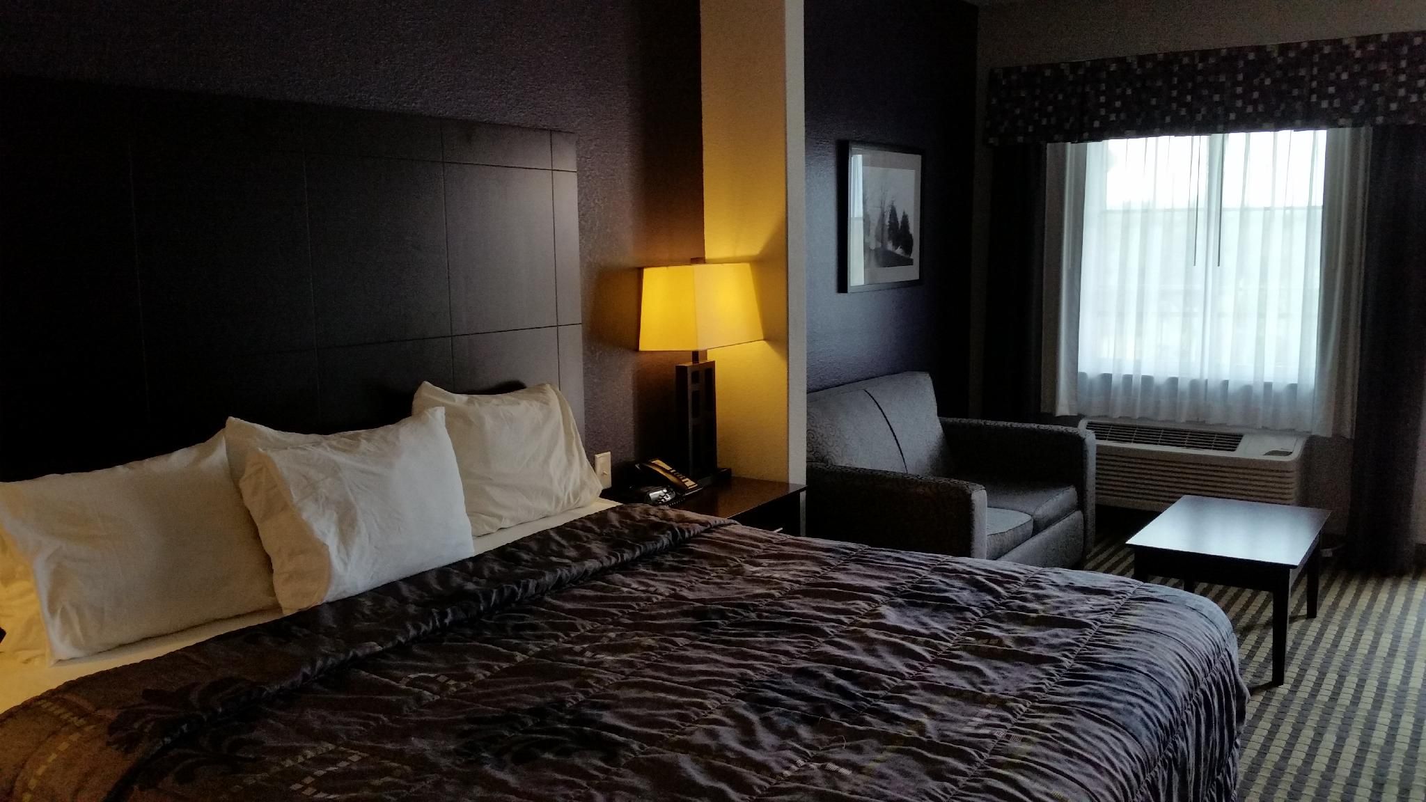 1 King Bed | Suite, Nsmk, Kitchen, Sofa-Bed