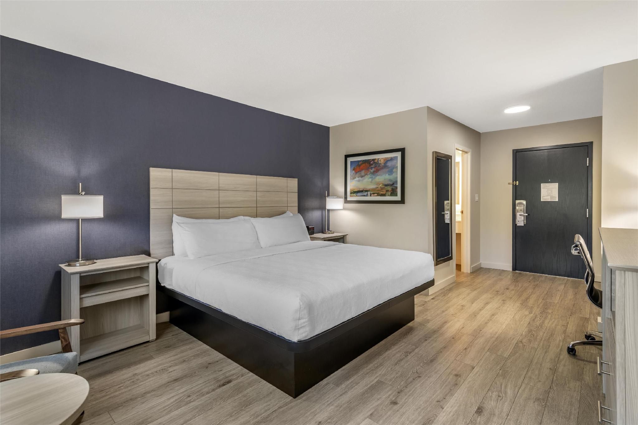 1 King Bed, Nonsmoking, Pet Friendly Room, Walk-in Shower