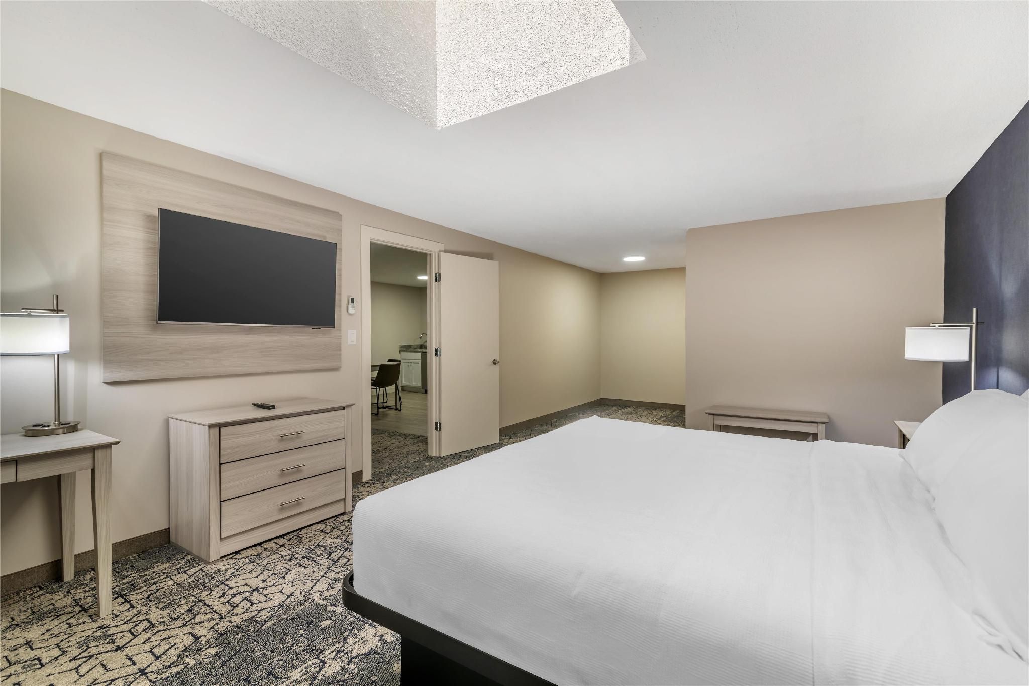 Suite-1 King Bed, Non-smoking, Separate Bedroom, Sofabed For One Person, 2 Flat Screen Tvs, Kitchene