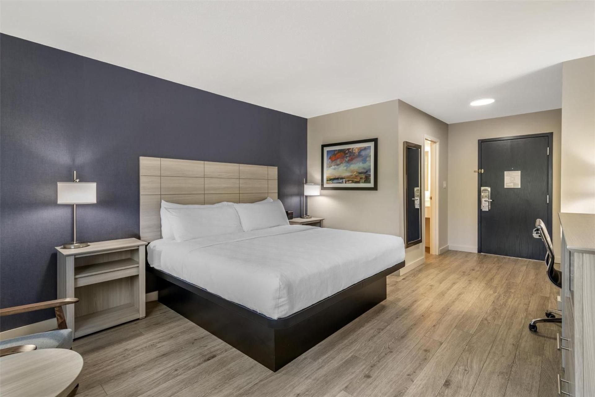 King Room - Pet-Friendly/Non-Smoking