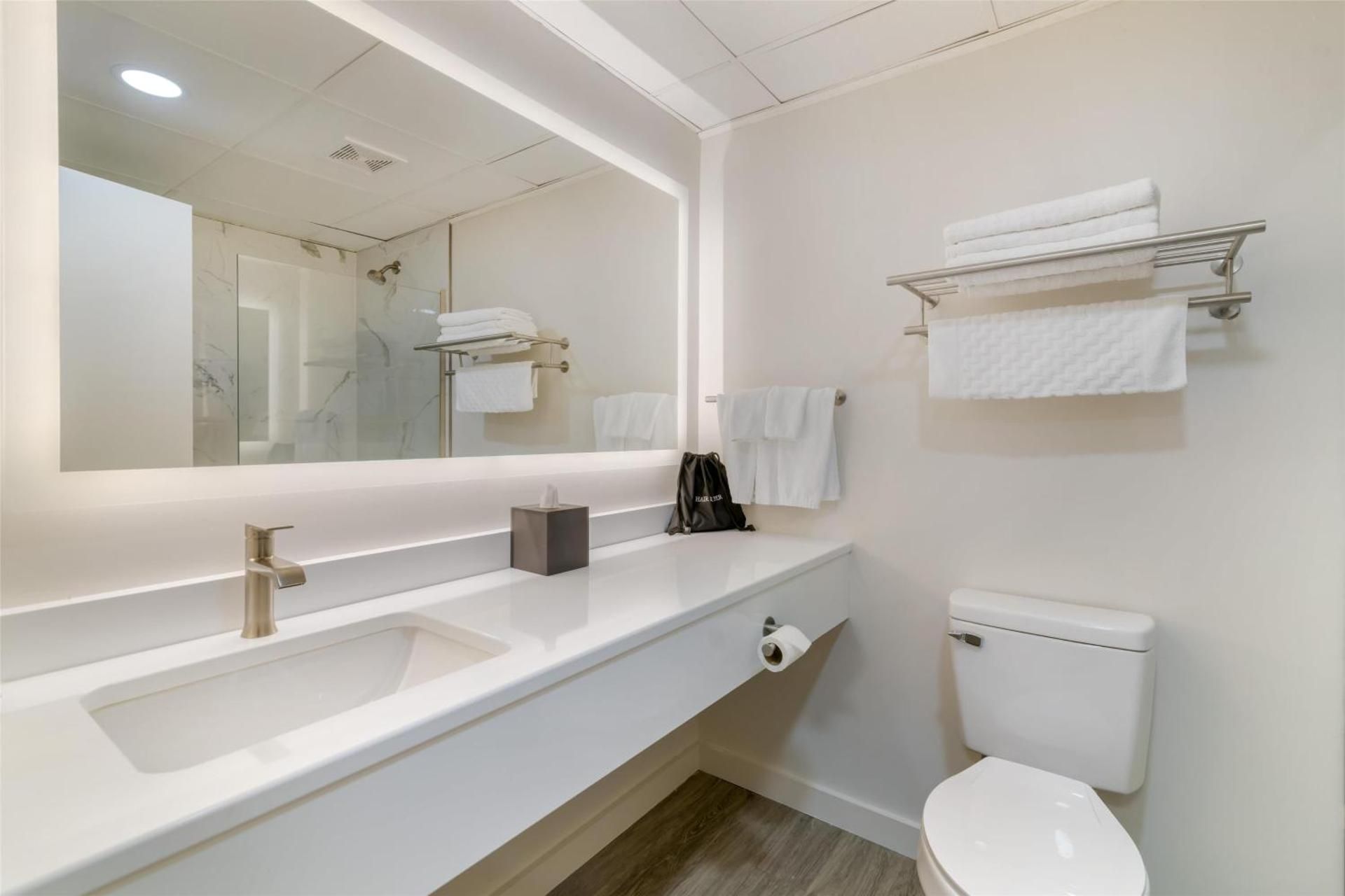 One-Bedroom King Suite