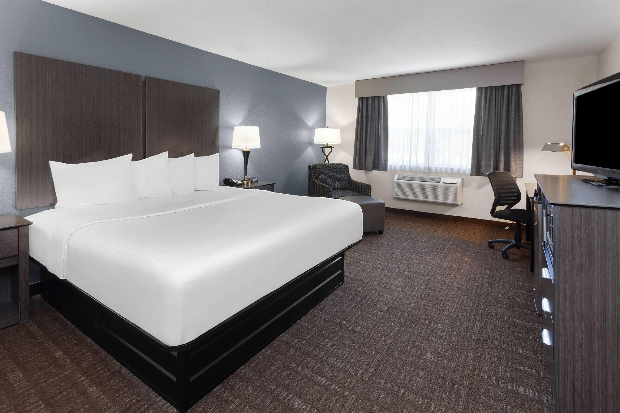 1 King Bed, Non-Smoking