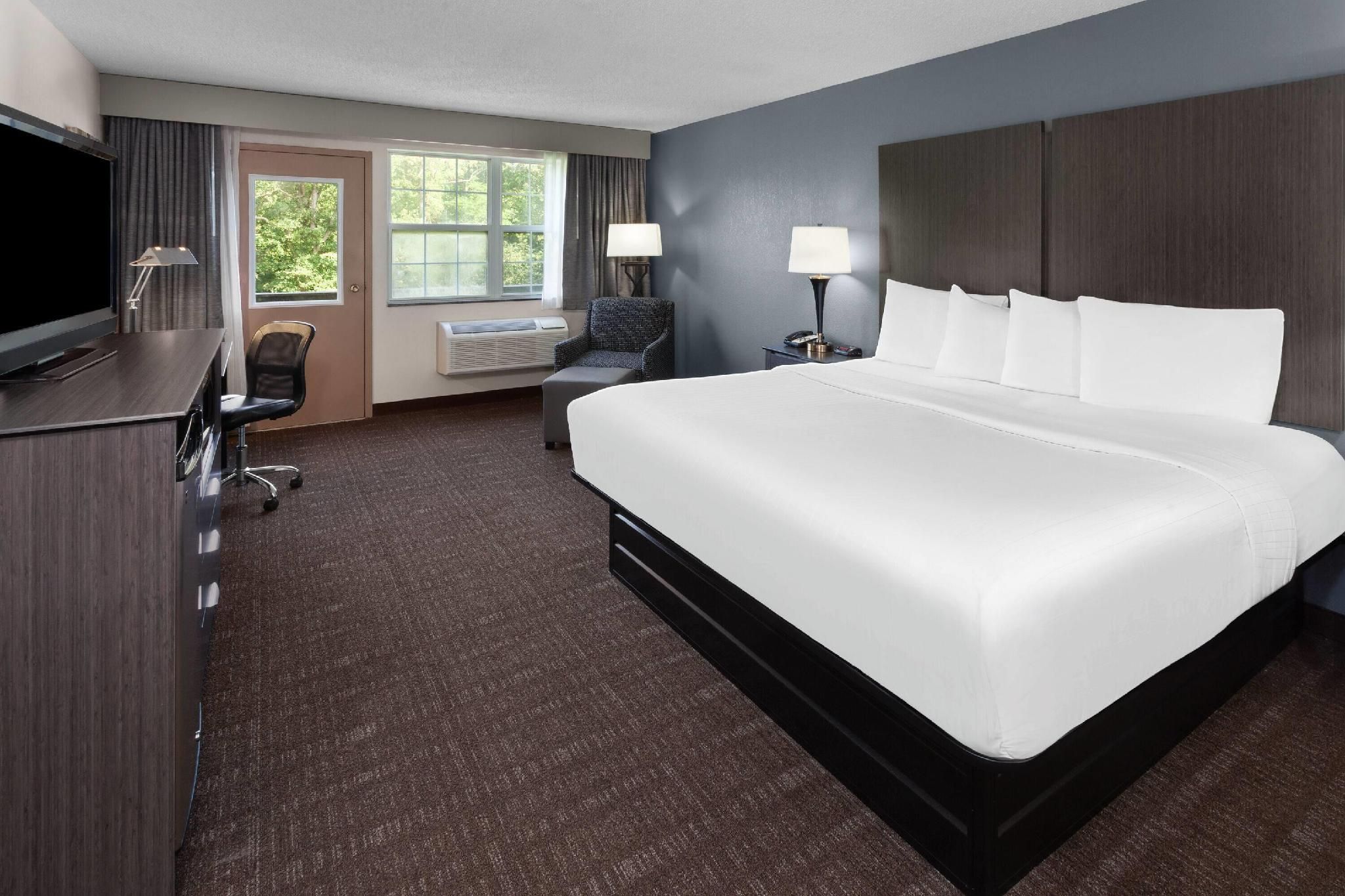1 King Bed, Studio Suite, Non-Smoking