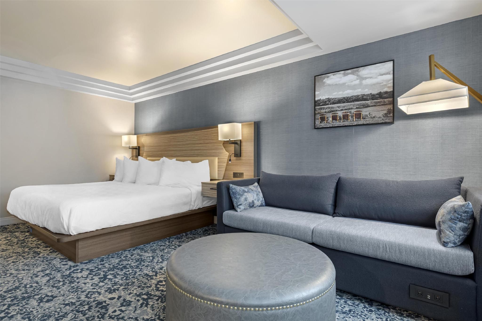 1 King Bed,Non-Smoking,Sofabed,River View,Work