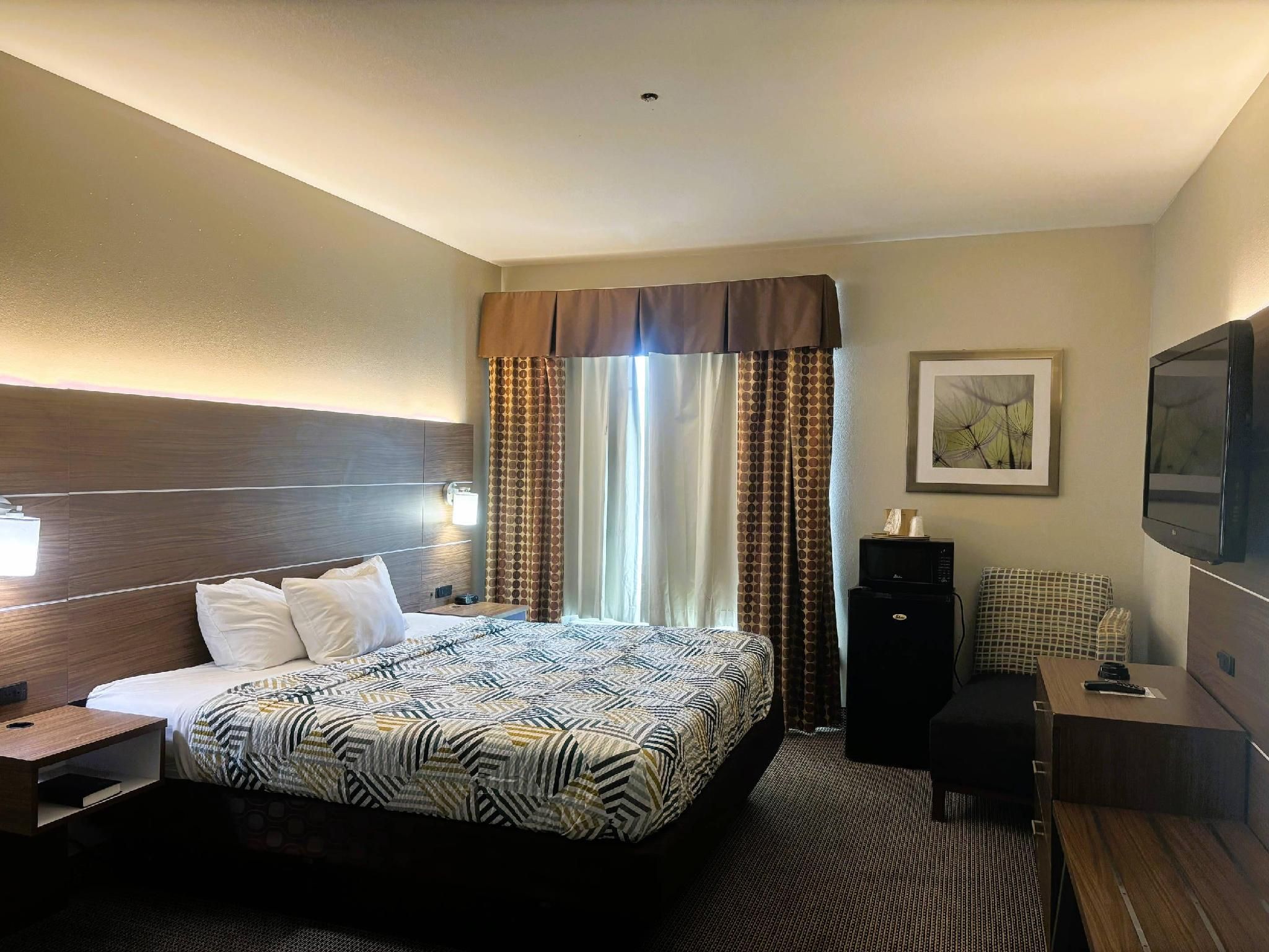 1 King Bed Non-Smoking