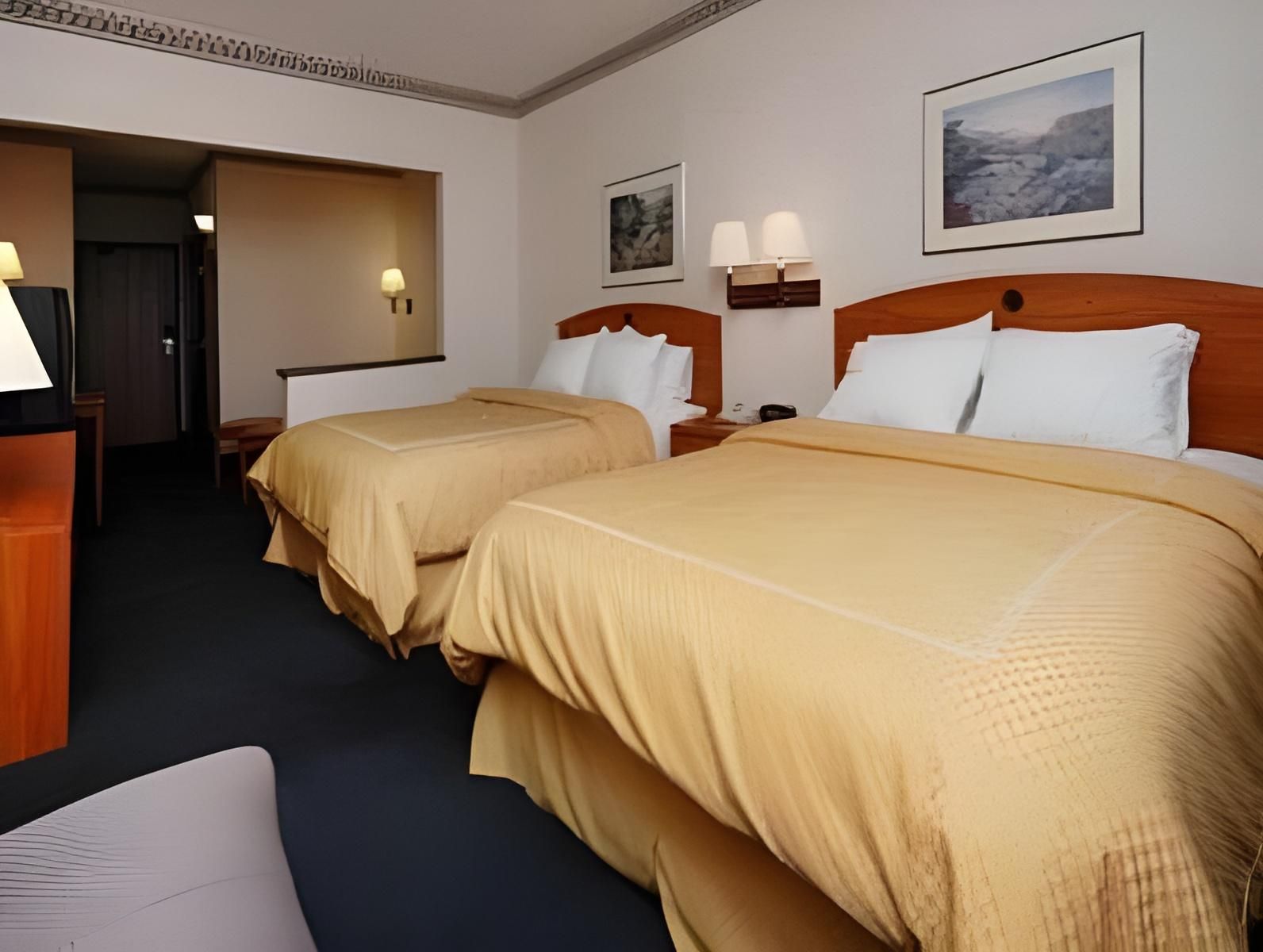 Queen Suite with Sofa Bed