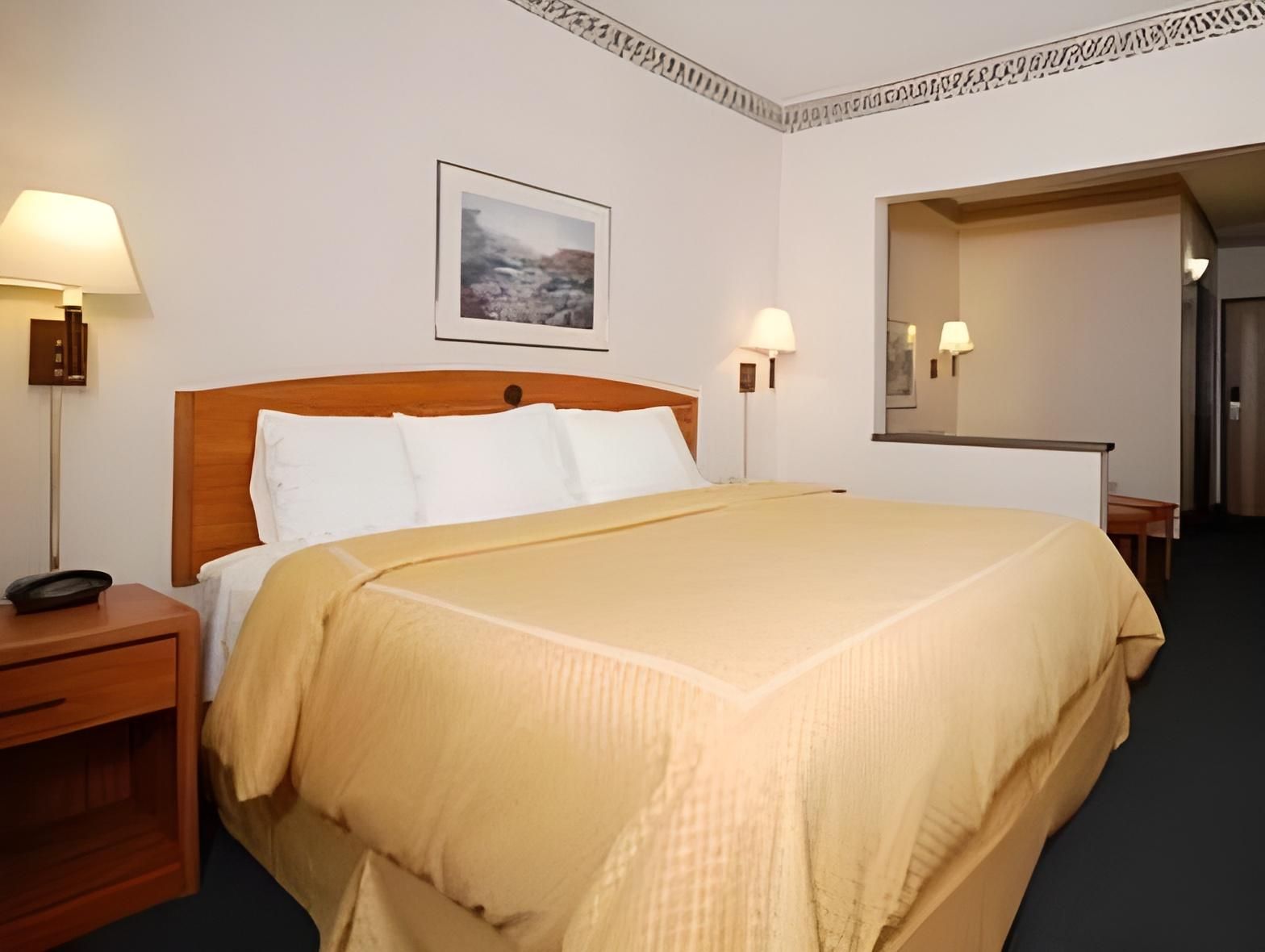 King Suite with Sofa Bed