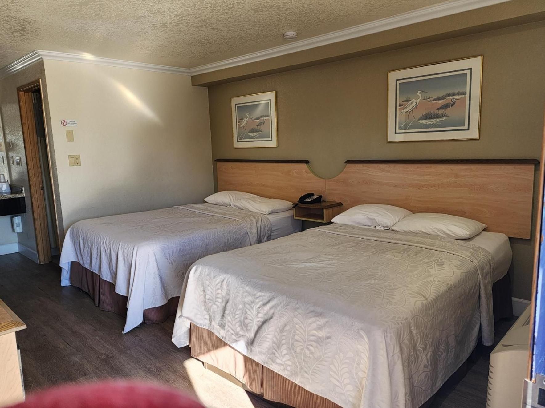 Economy Double Room