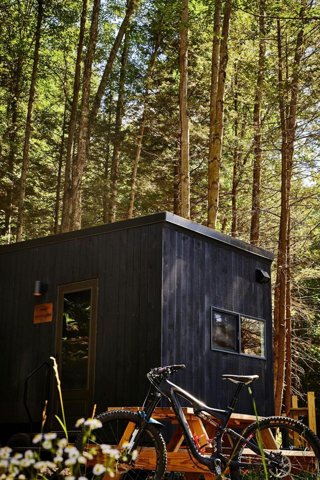 Postcard Cabins Hill Country