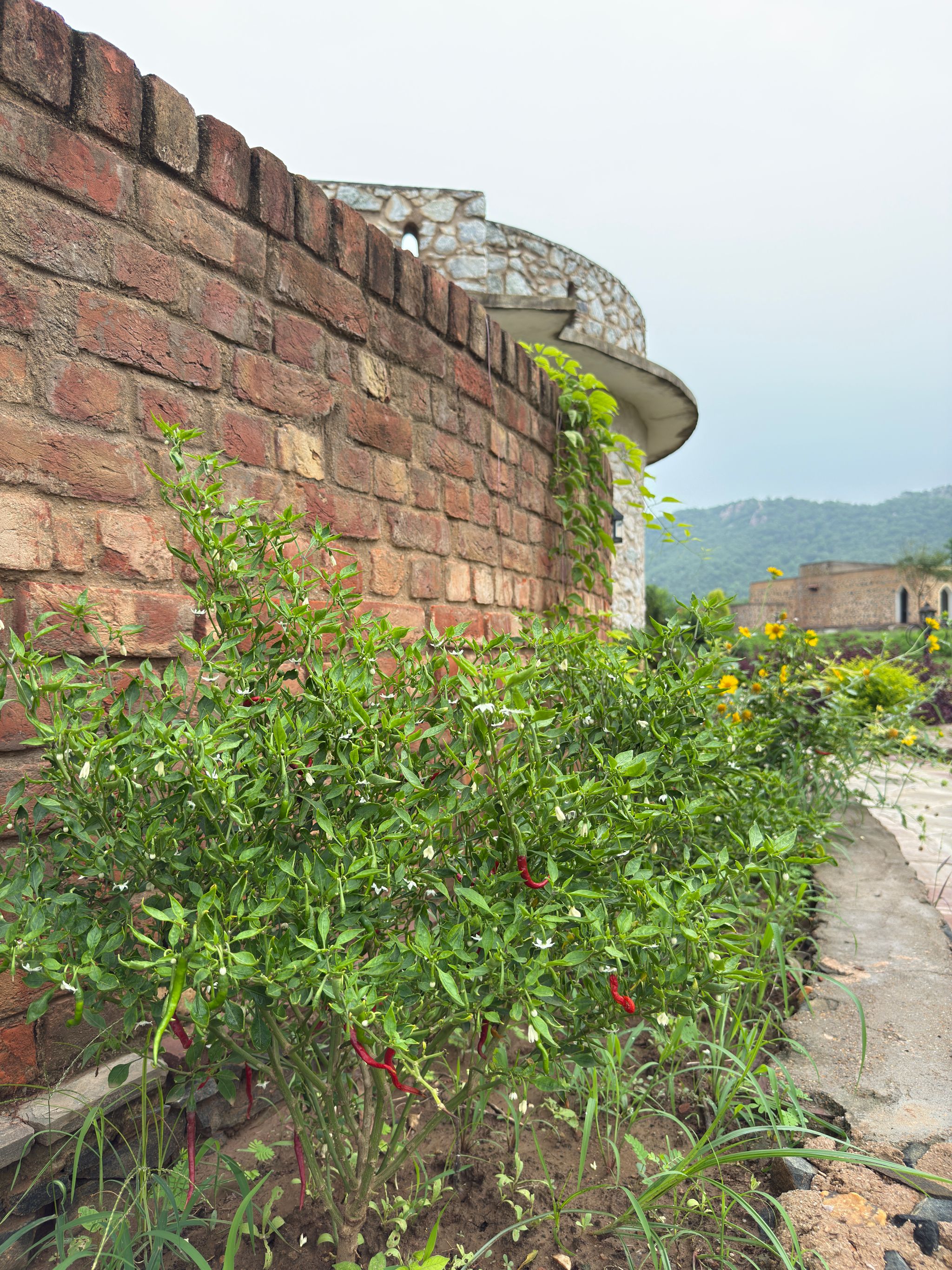 Sariska Kasba - A Village Resort Rang Mahal 40