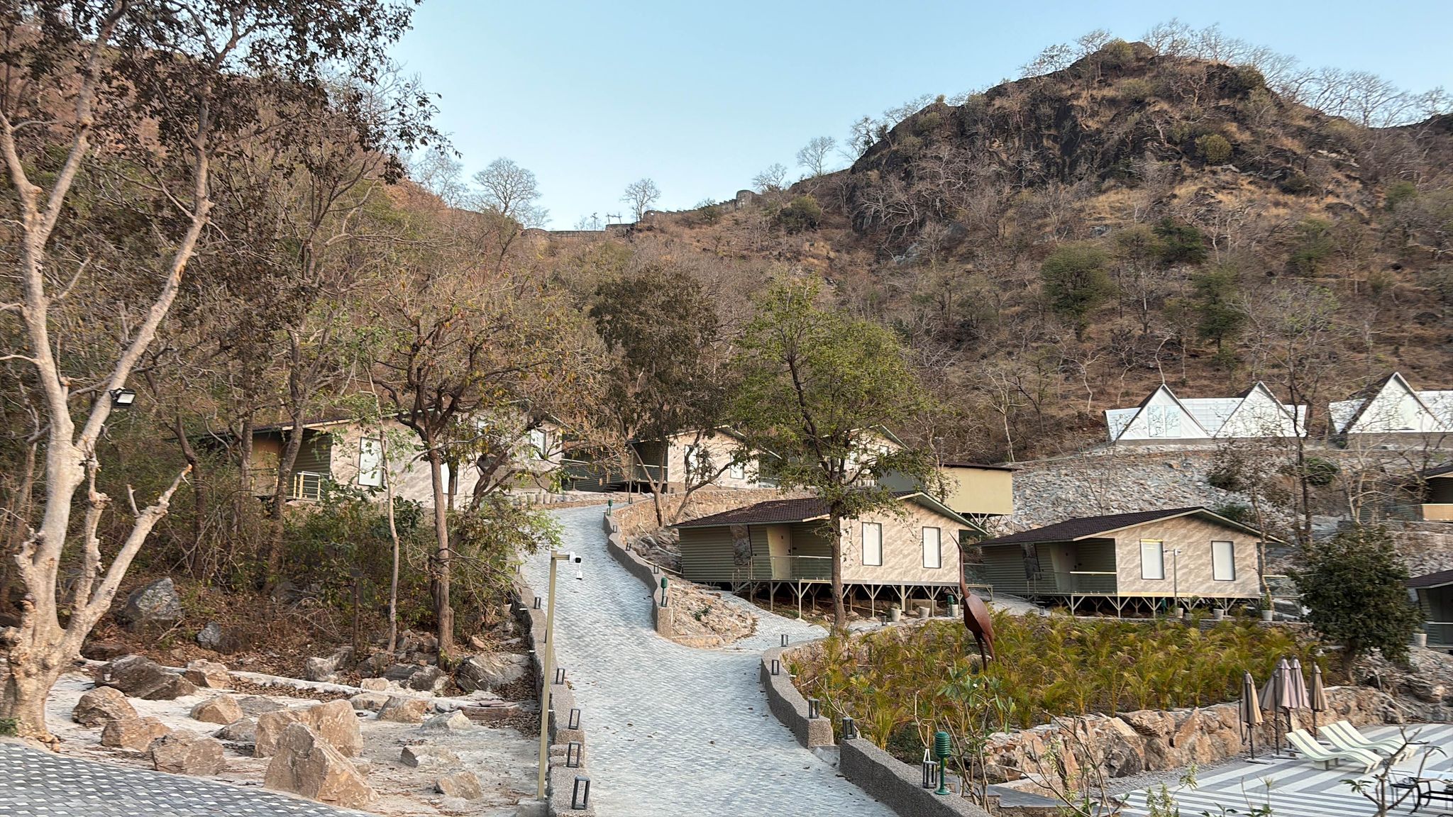 image_5061697_5922a0c3-c04f-43af-aeb3-b1bbcb789456