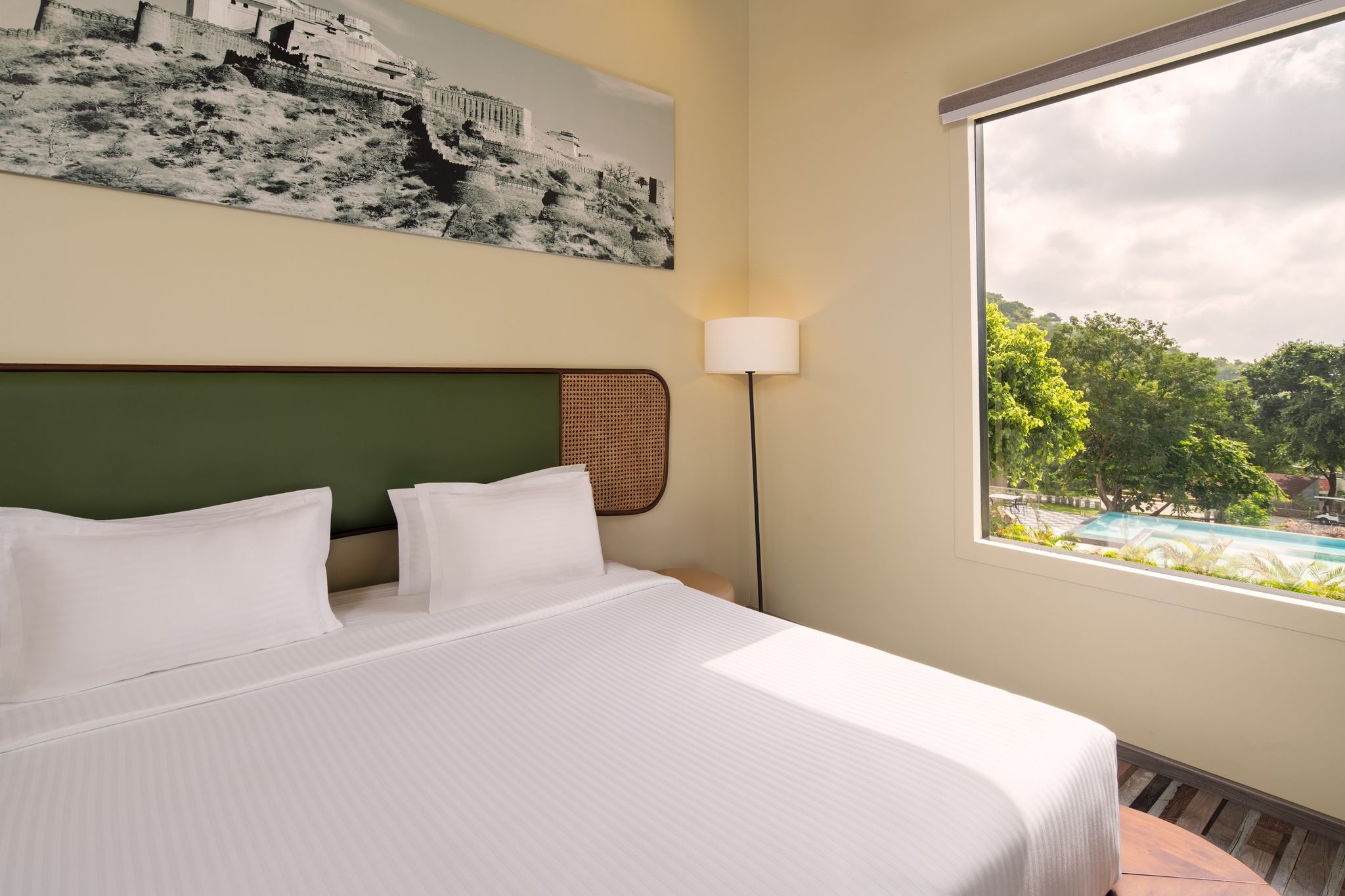 image_5061697_5c047a08-8056-42f7-ae64-5a0dfa87b9f1