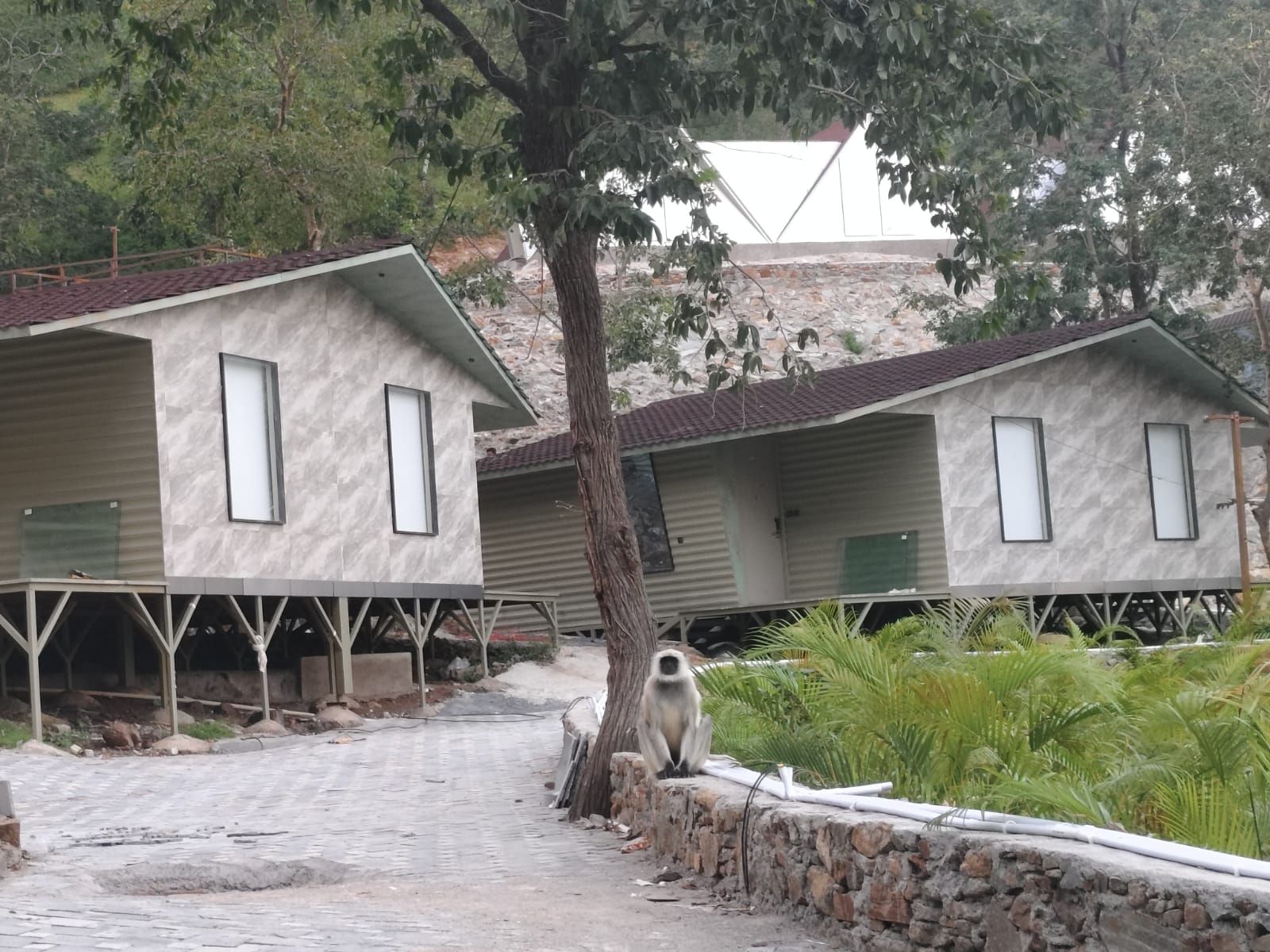 image_5061697_99d29e45-83f0-4ad0-8233-fe31b880e6be